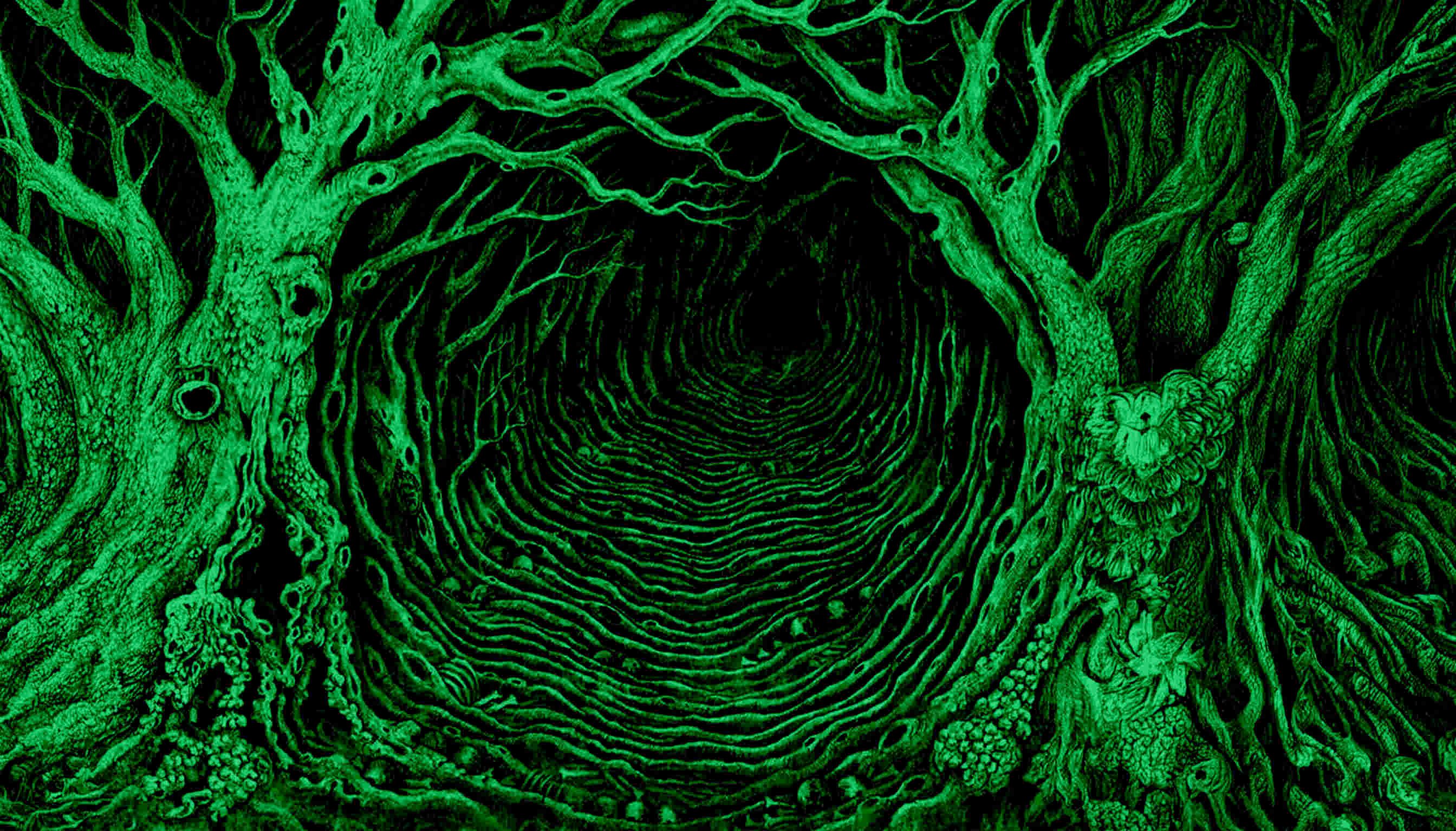 Bosques complicados collection thumbnail image