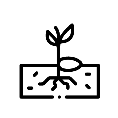 Tierra avatar image