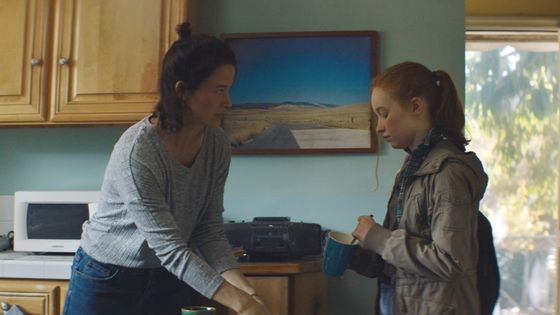 poster for THE HIDEAWAY