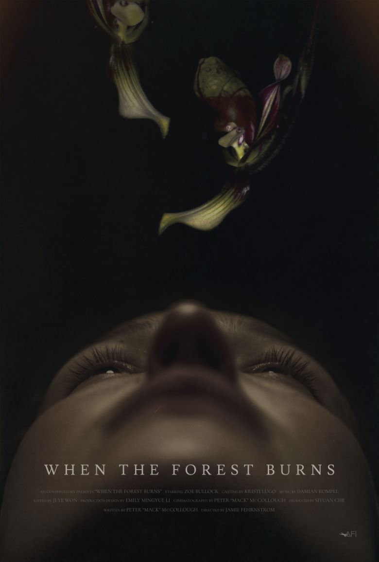 WHEN THE FOREST BURNS logo