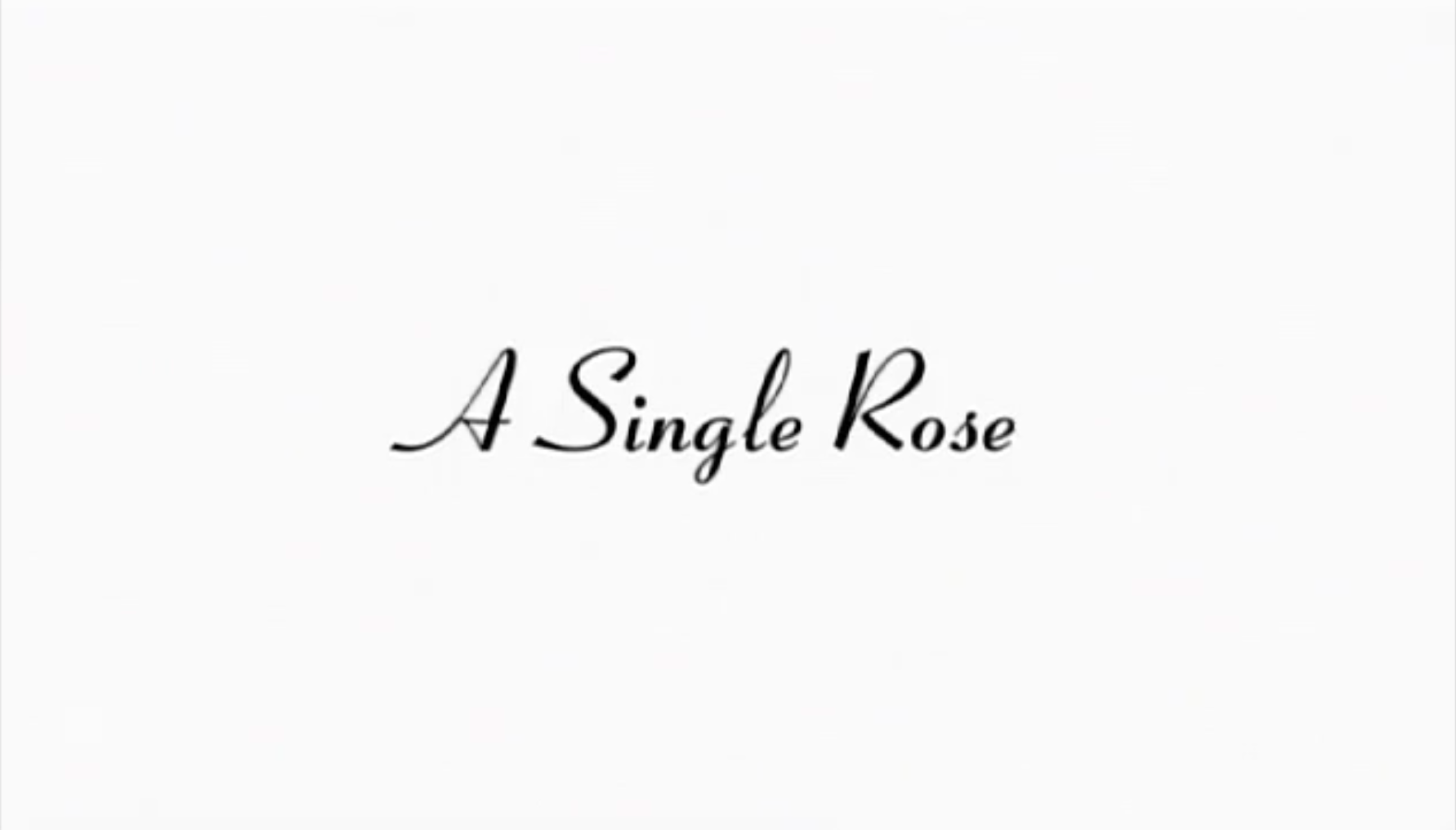 A SINGLE ROSE thumbnail