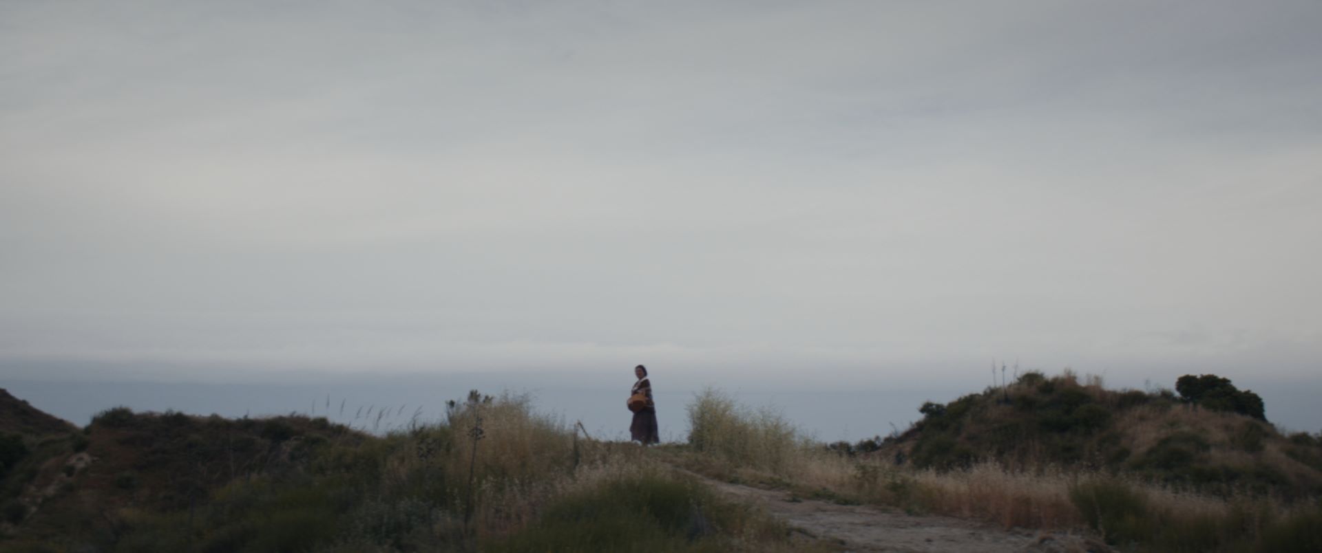 BAJO LA TIERRA landscape picture
