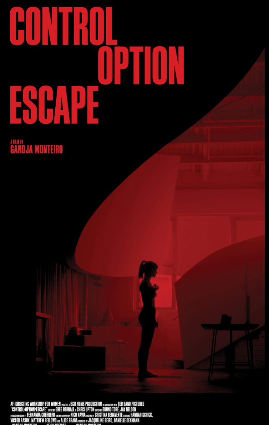 CONTROL/OPTION/ESCAPE logo