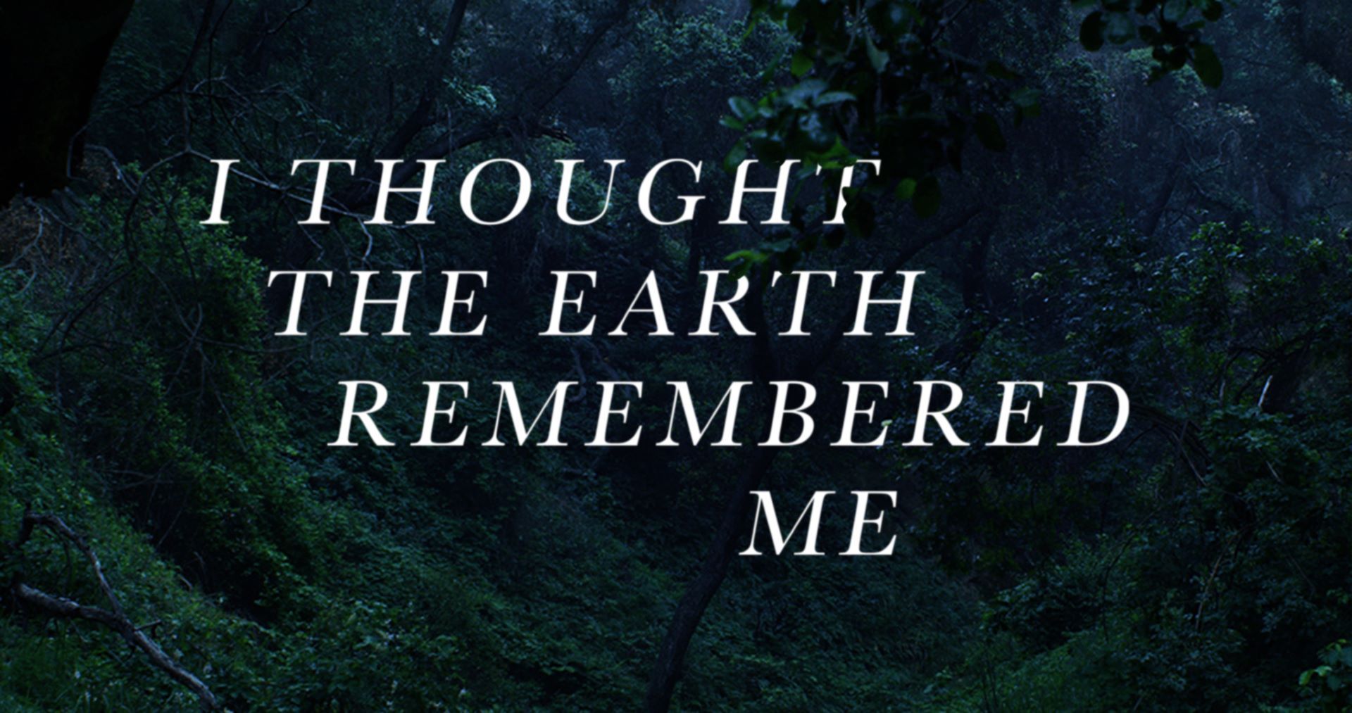 I THOUGHT THE EARTH REMEMBERED ME thumbnail