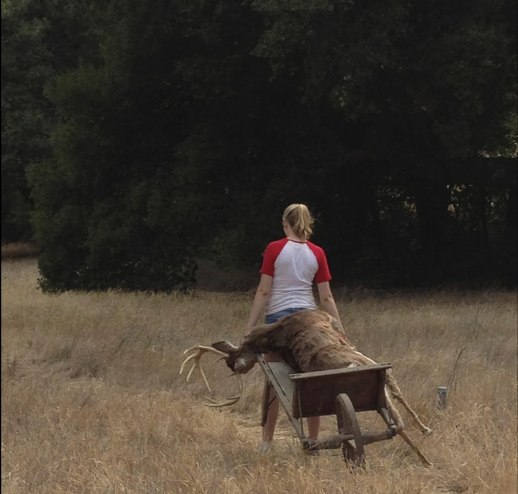 INHERITANCE thumbnail