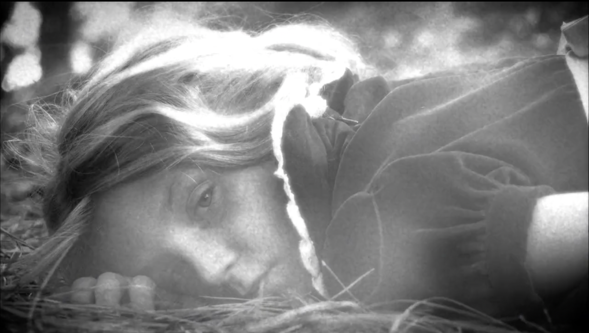 LAYING DOWN ARMS thumbnail