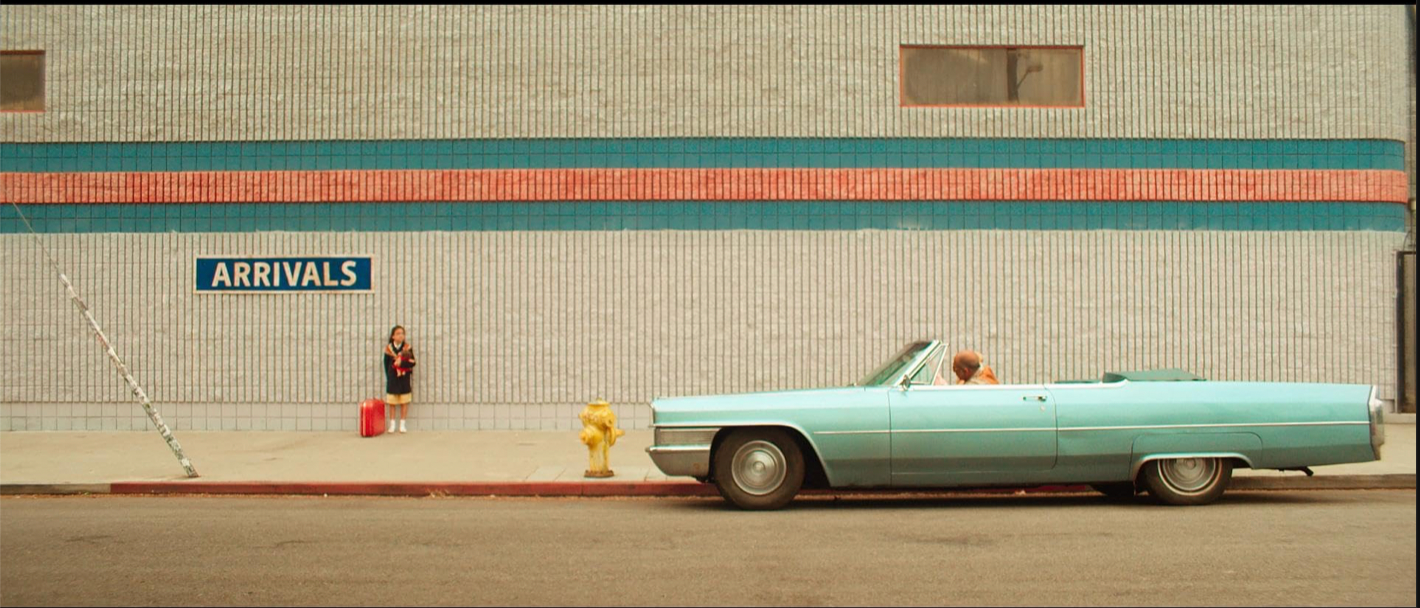 Rita Mahtoubian is Not a Terrorist thumbnail