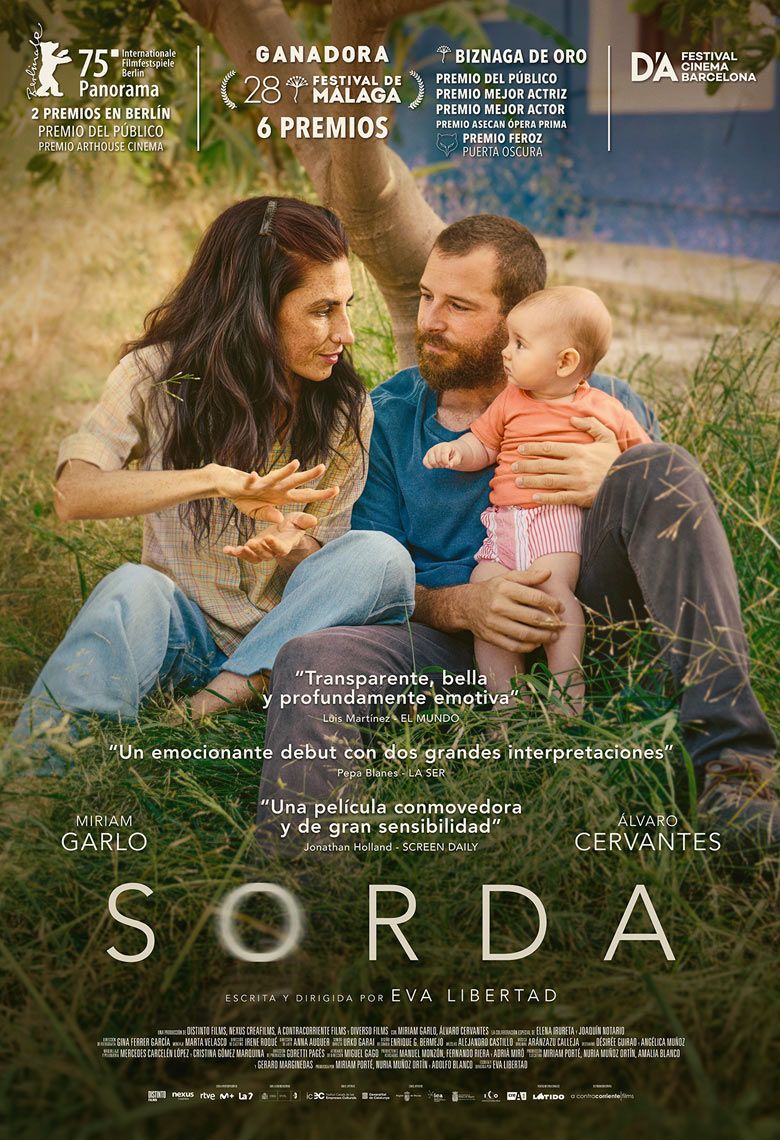 SORDA poster image