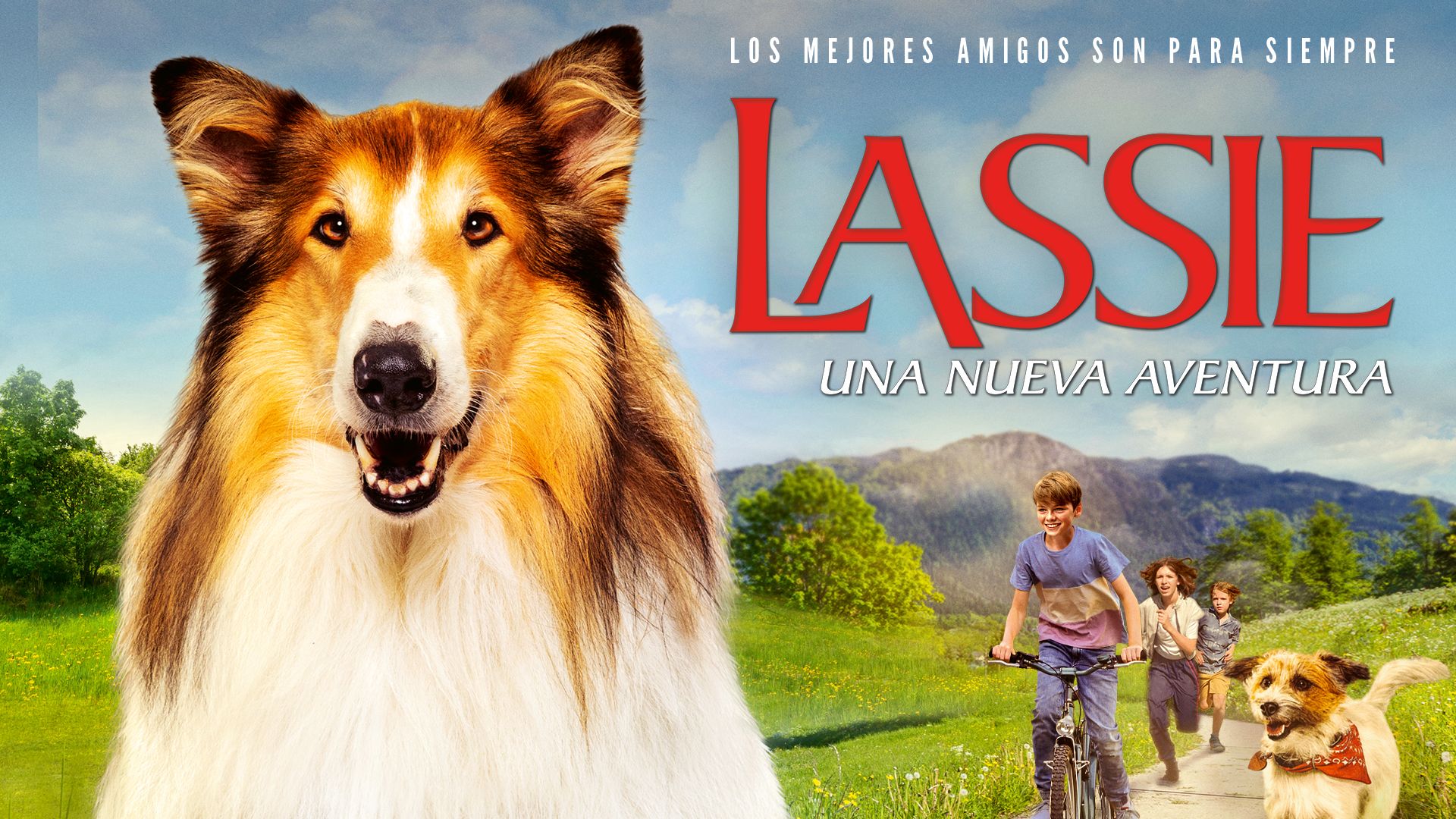 Lassie (Una nueva aventura) hero image