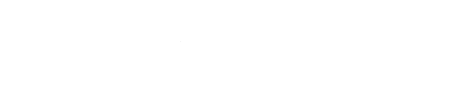 VIENTO SUR logo