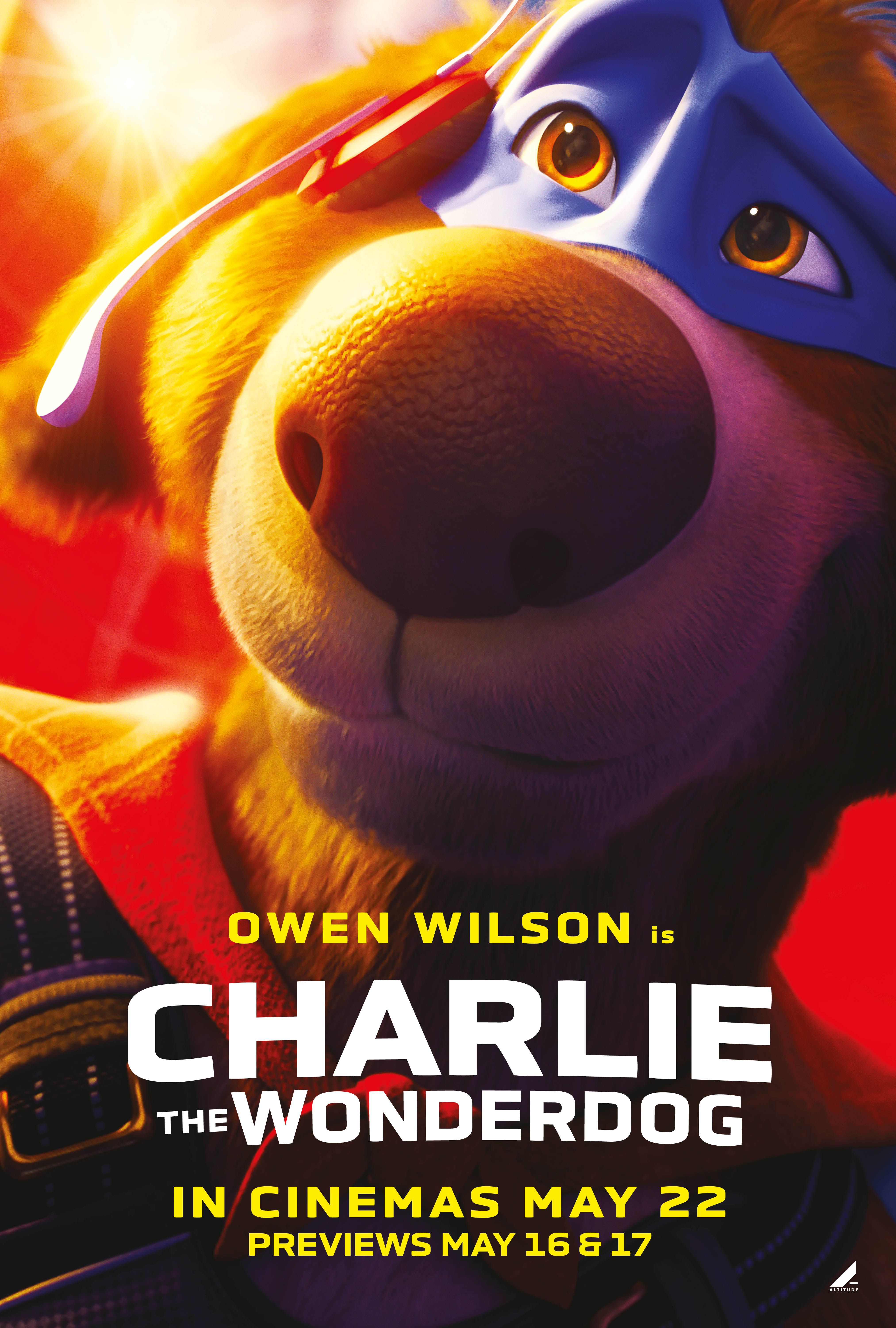 Charlie the Wonderdog portrait image