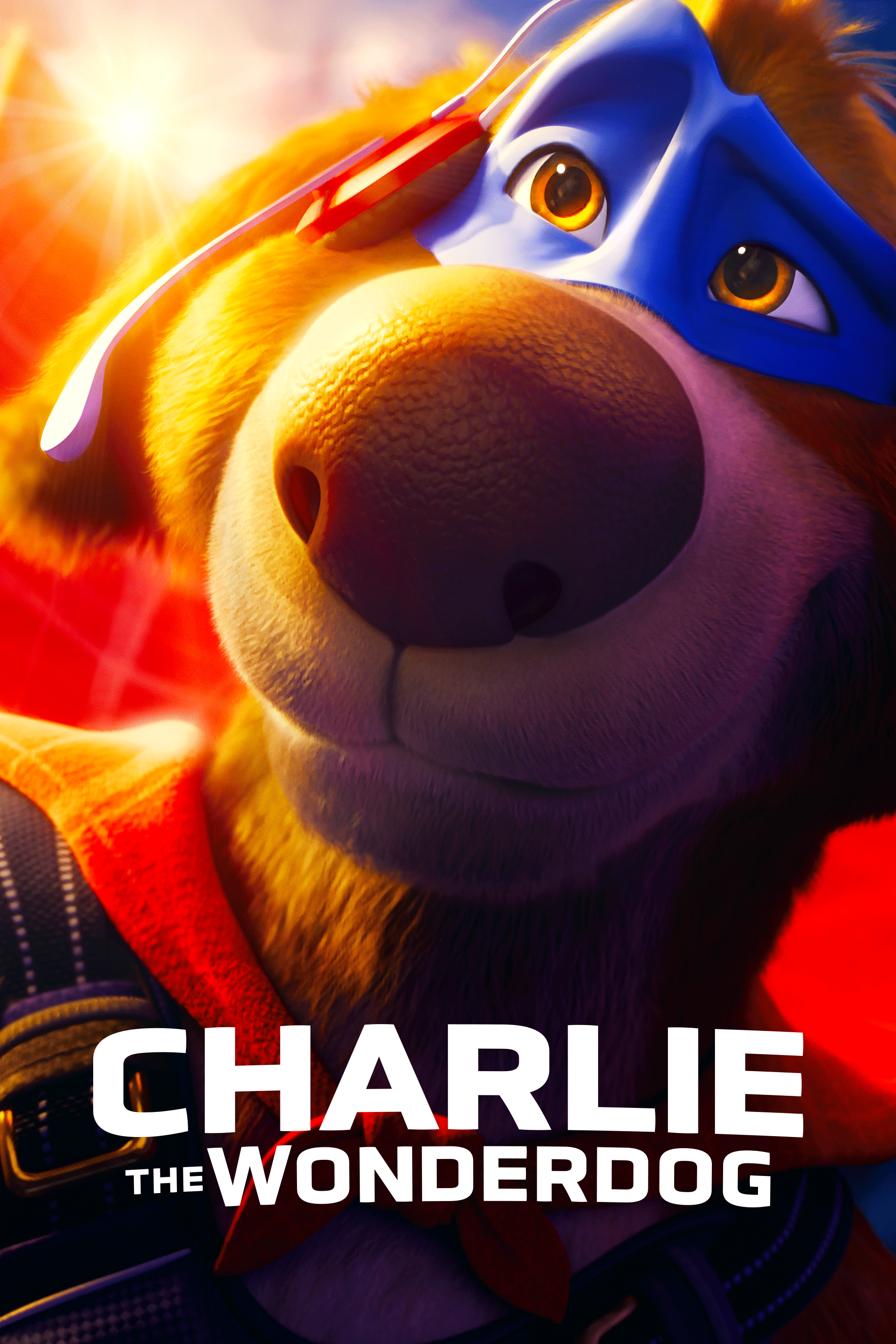 Charlie the Wonderdog portrait image