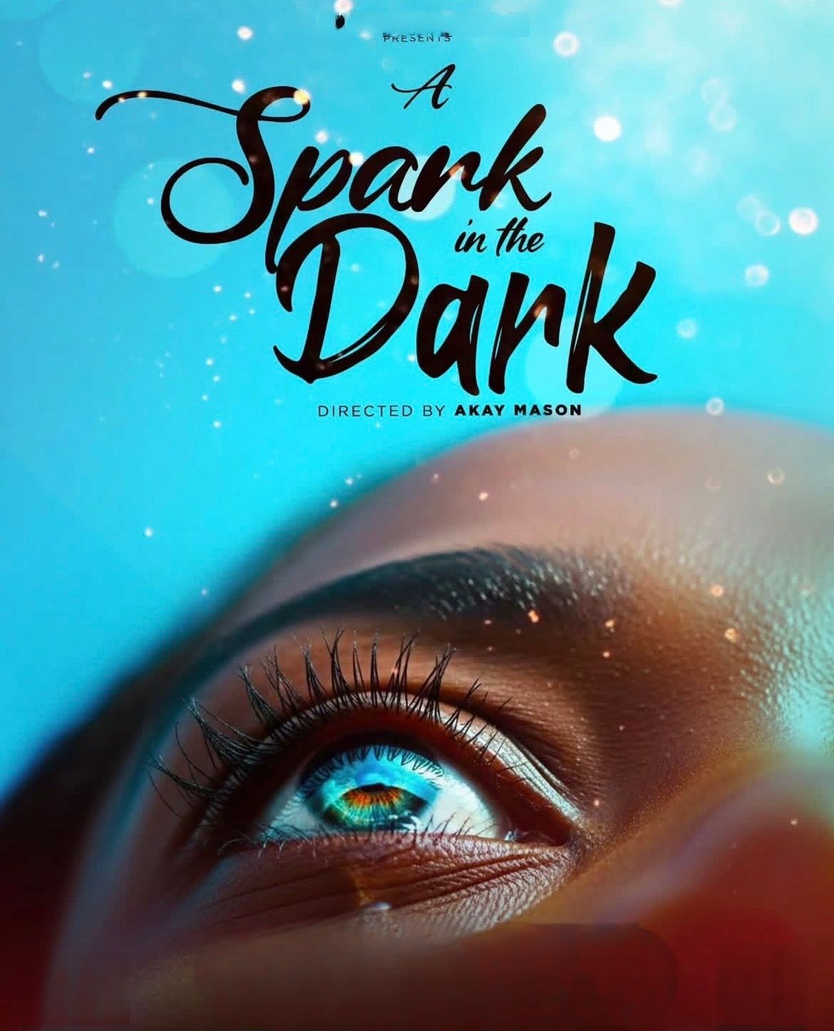 A Spark In the dark poster image