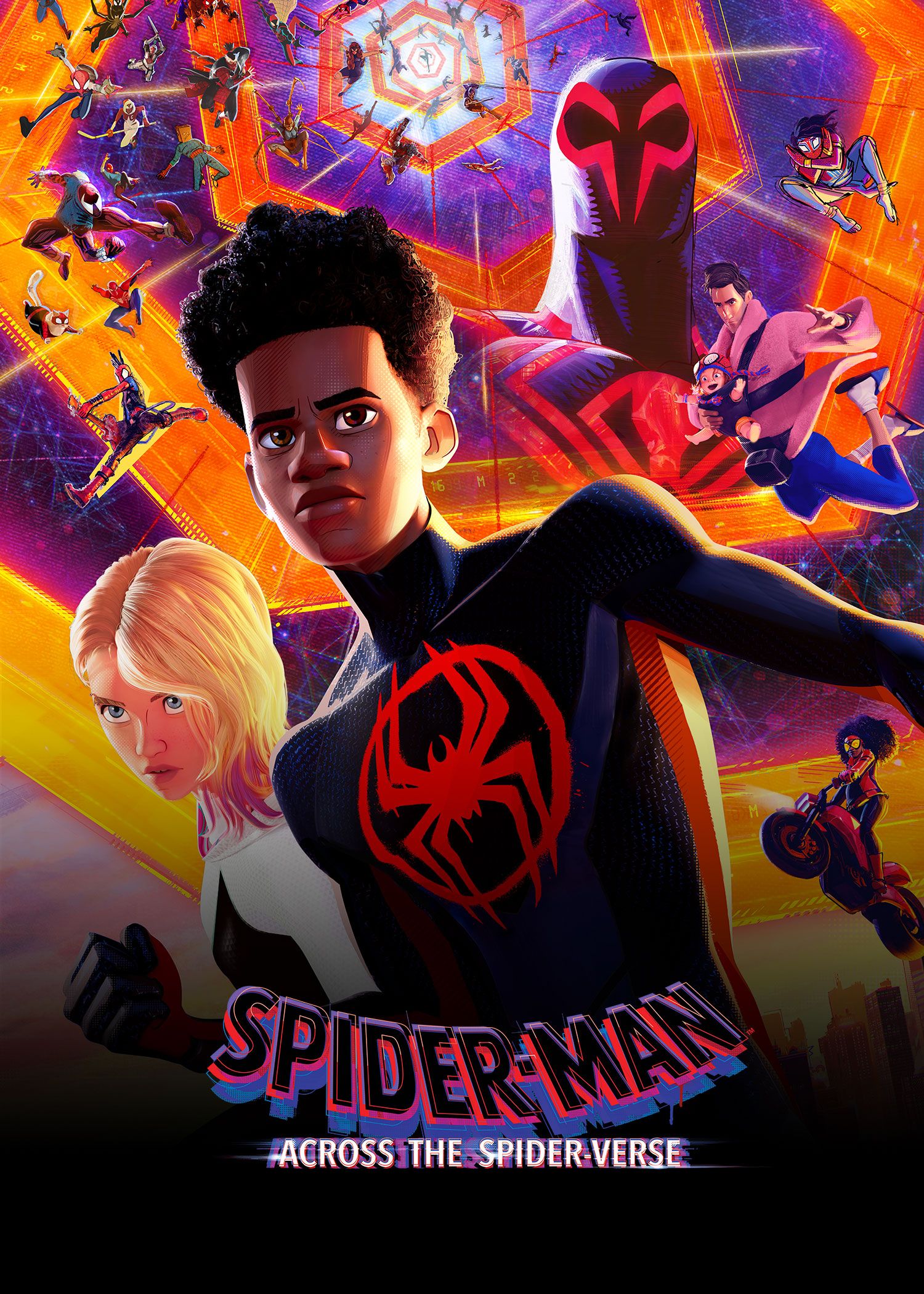 Spider-Man: Across the Spider-Verse poster image