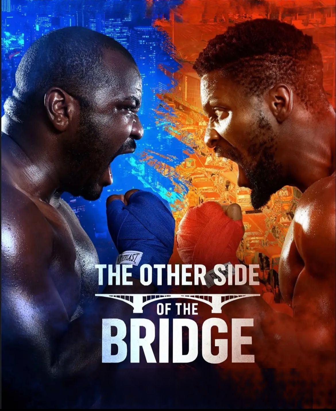 The Other Side Of the Bridge poster image