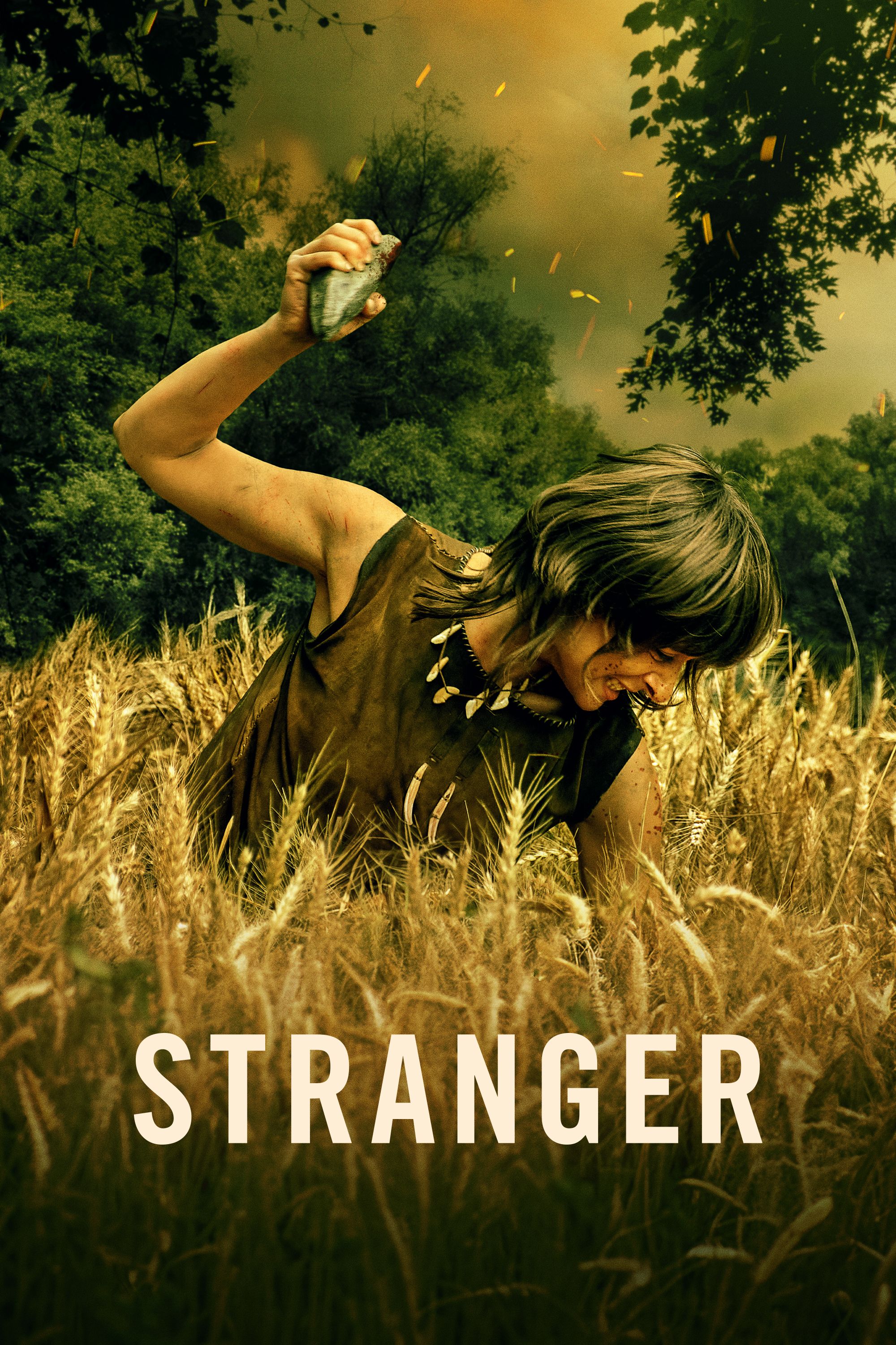 Stranger poster image