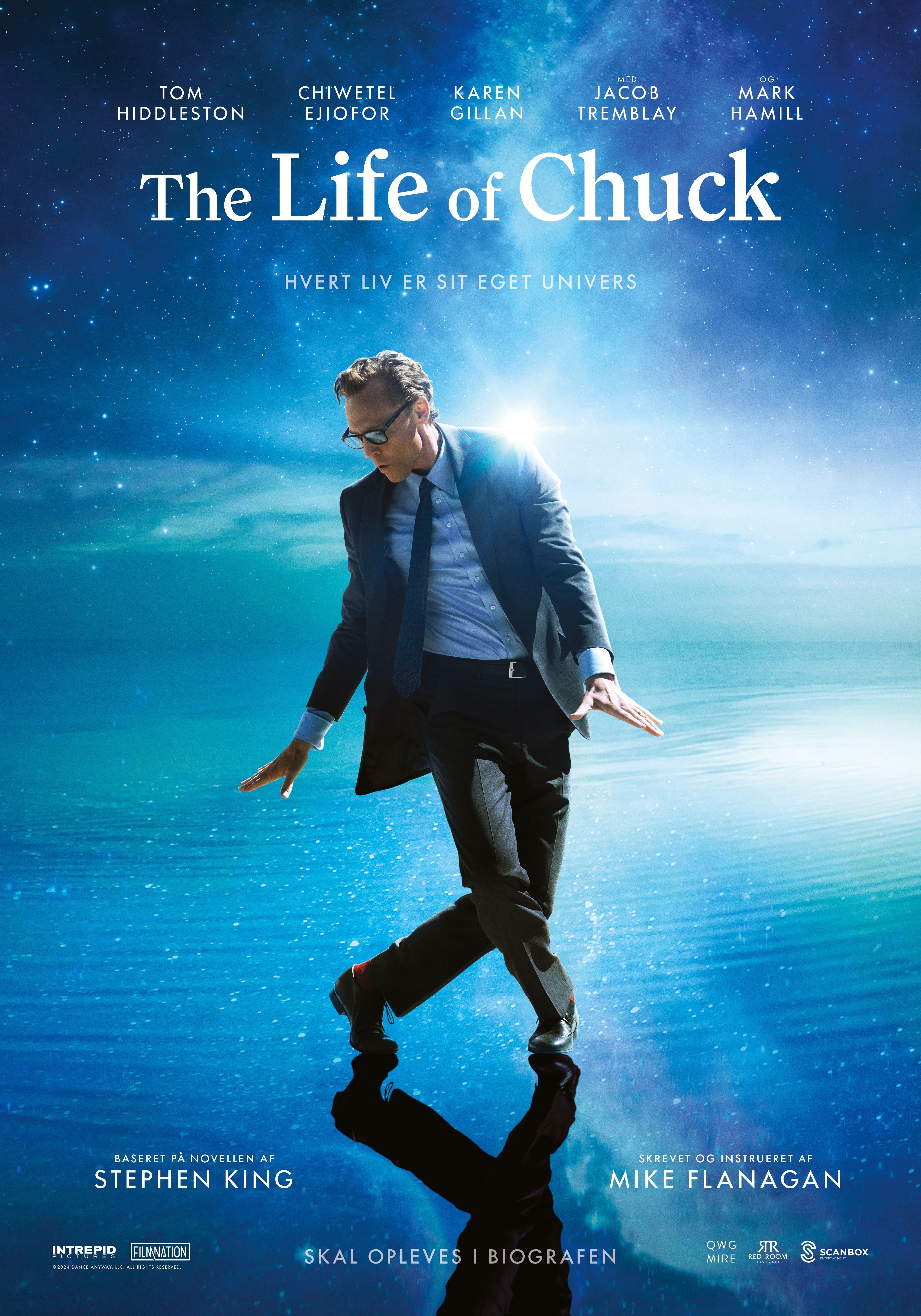 The Life of Chuck poster image