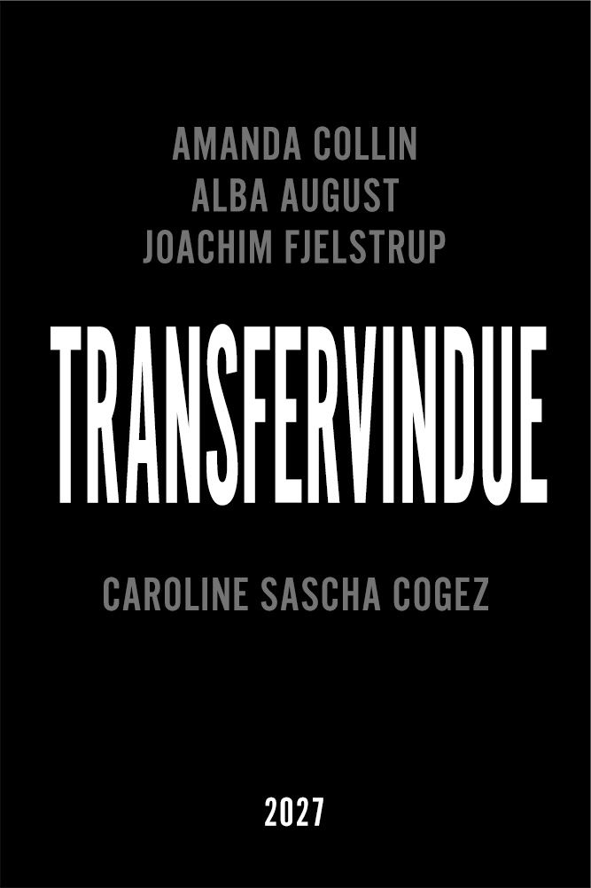 Transfervindue poster image