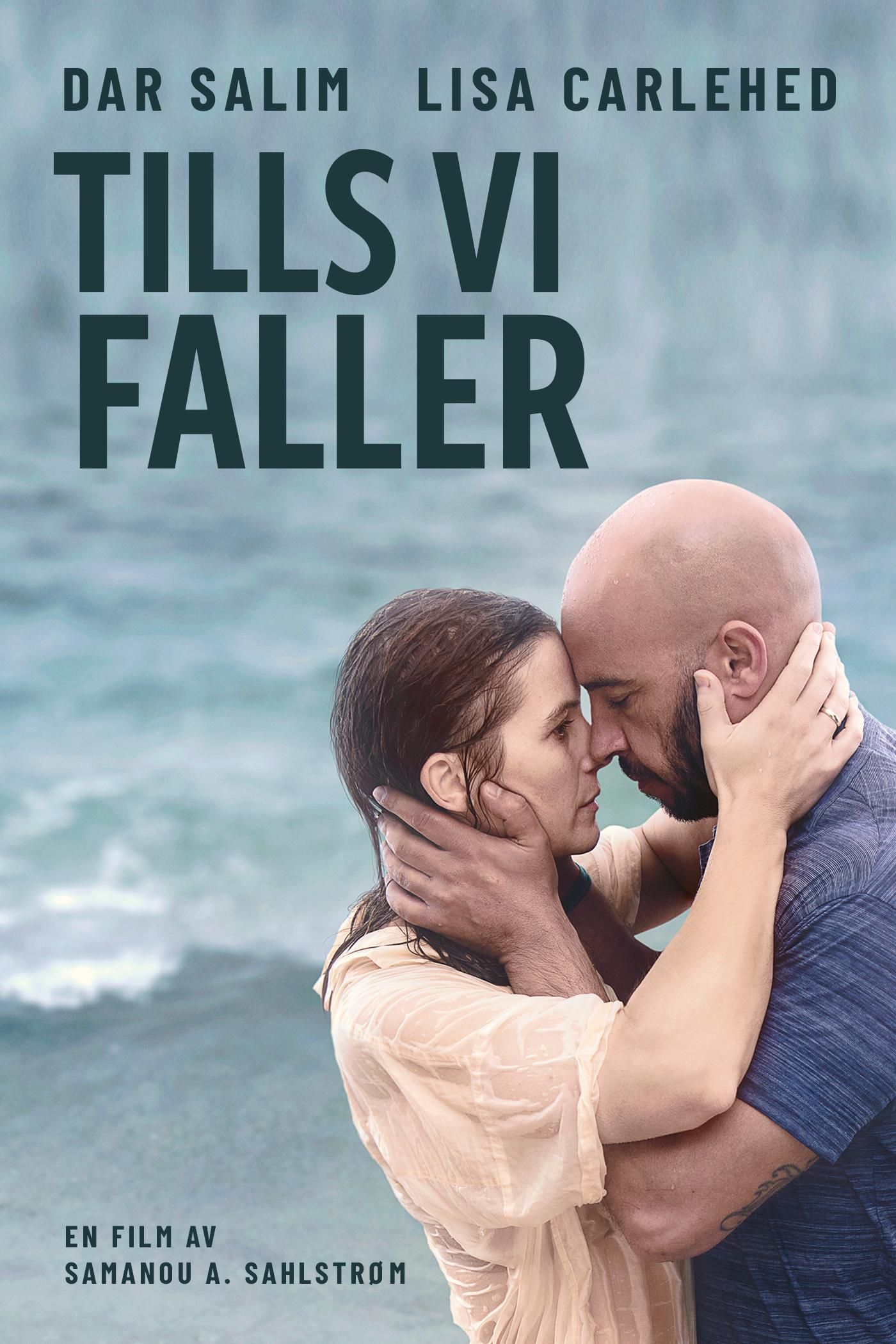 Tills vi faller poster image