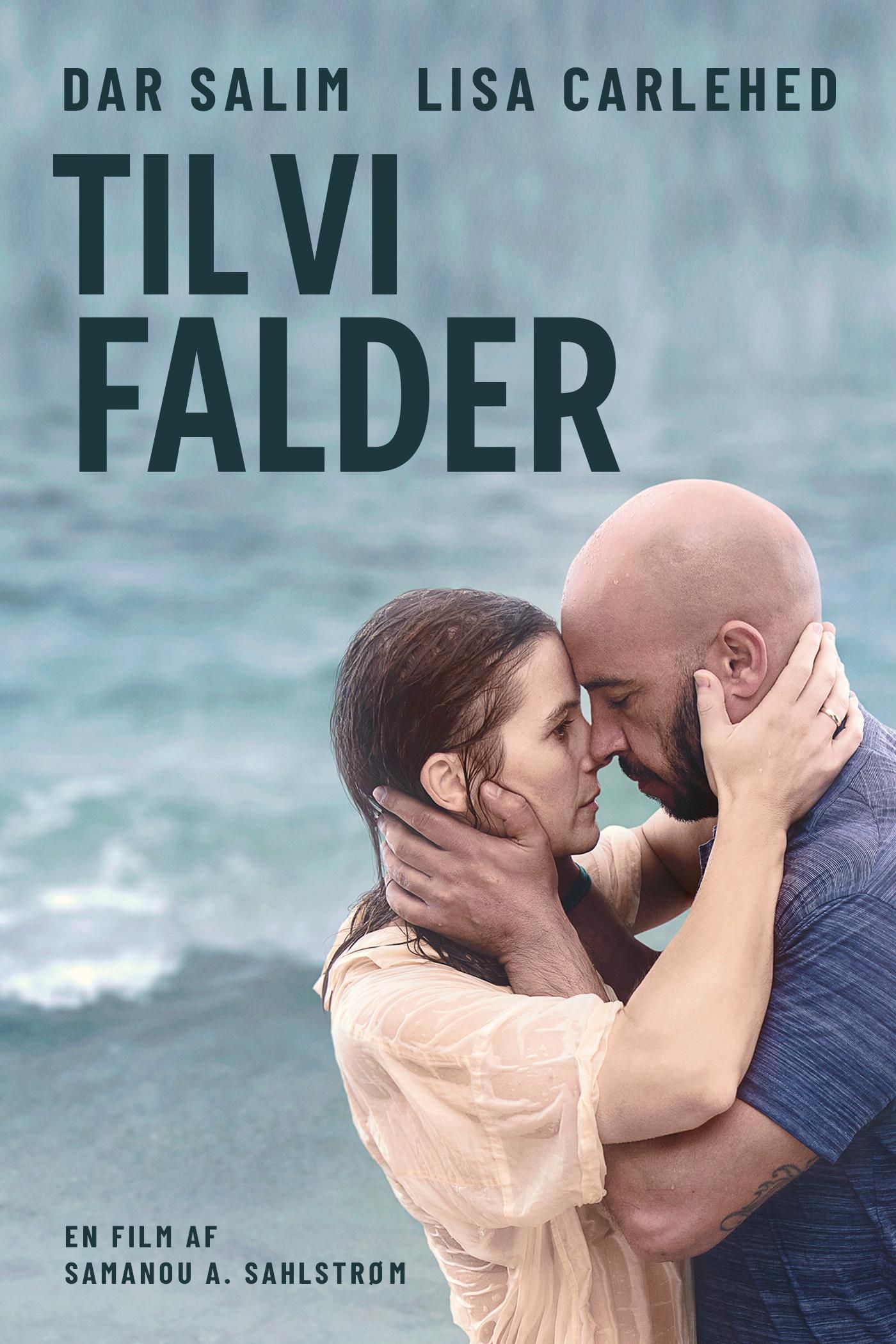 Til vi falder poster image