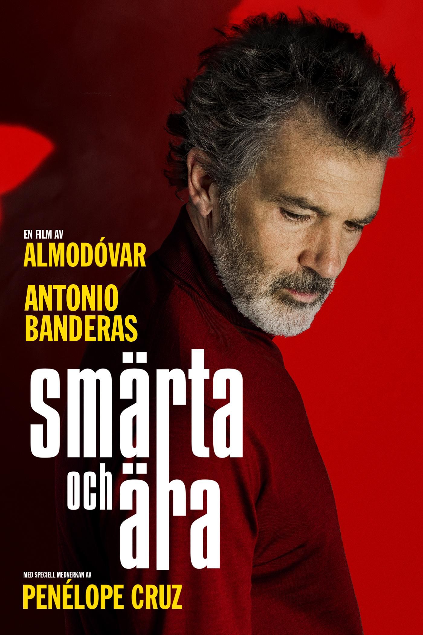 Smärta och ära poster image