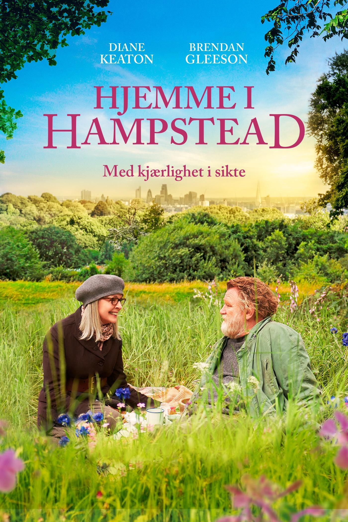 Hjemme i Hampstead poster image