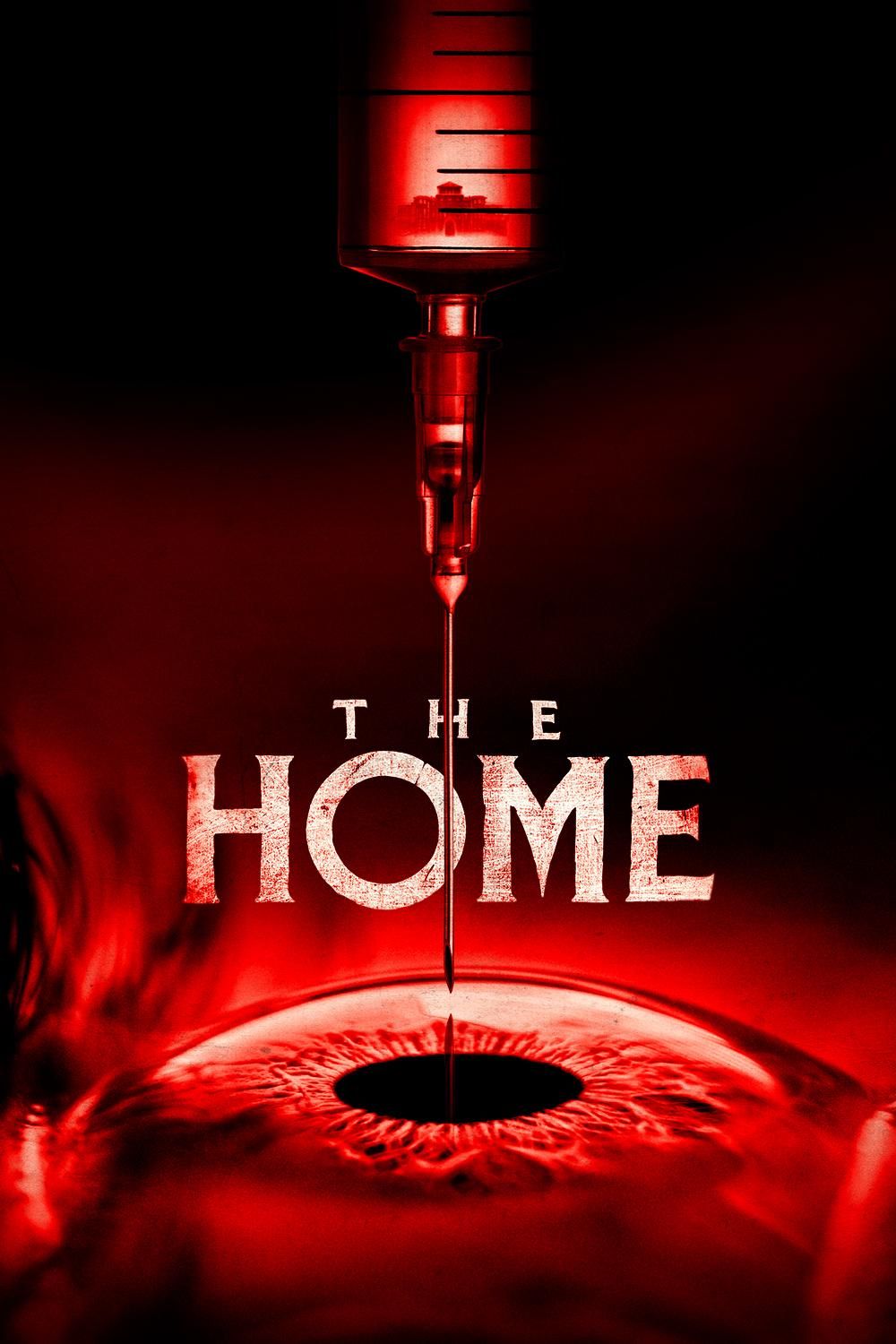 The Home poster image
