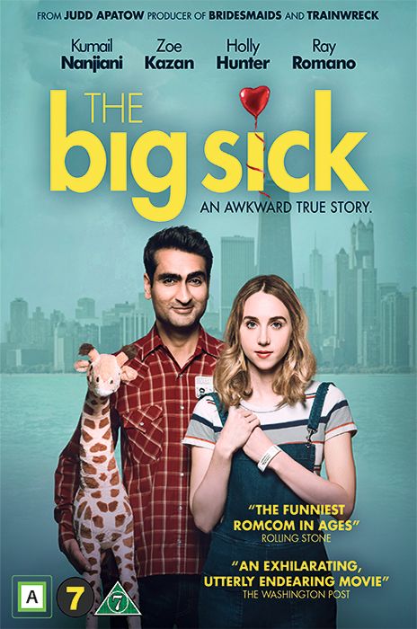 The Big Sick poster image