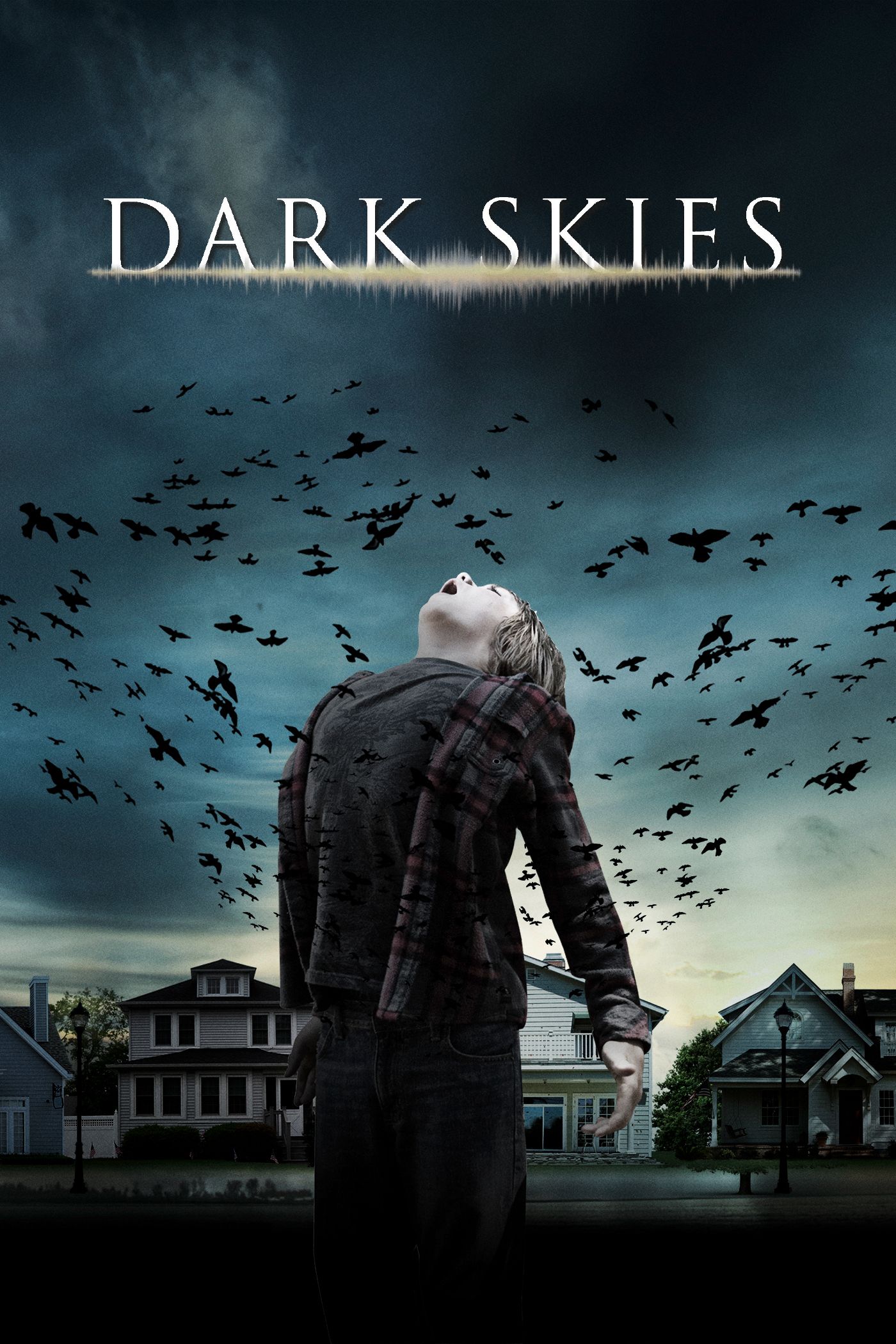 Dark Skies poster image