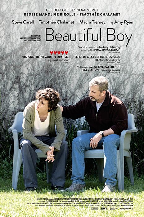 Beautiful Boy poster image