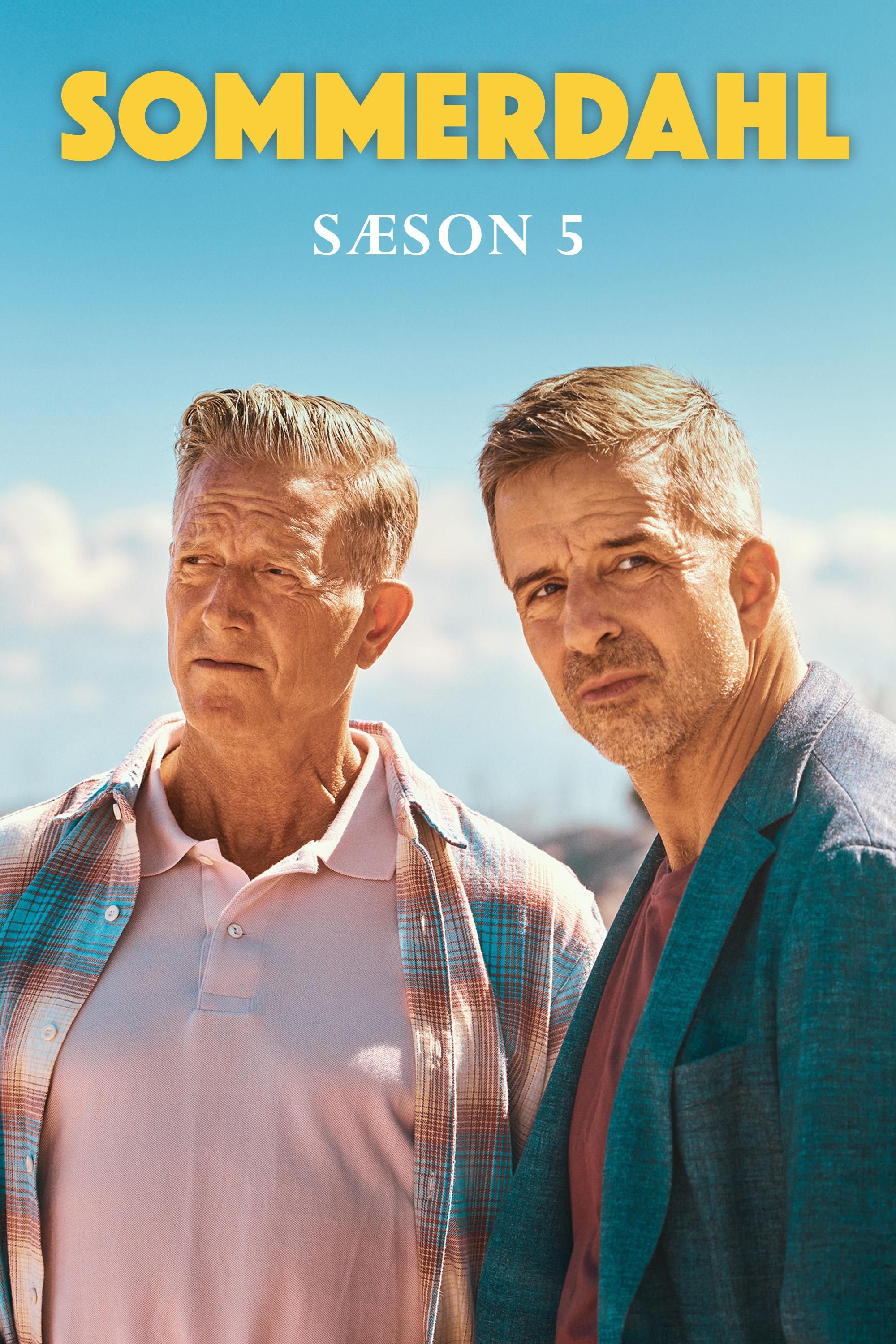 Sommerdahl sæson 5 poster image