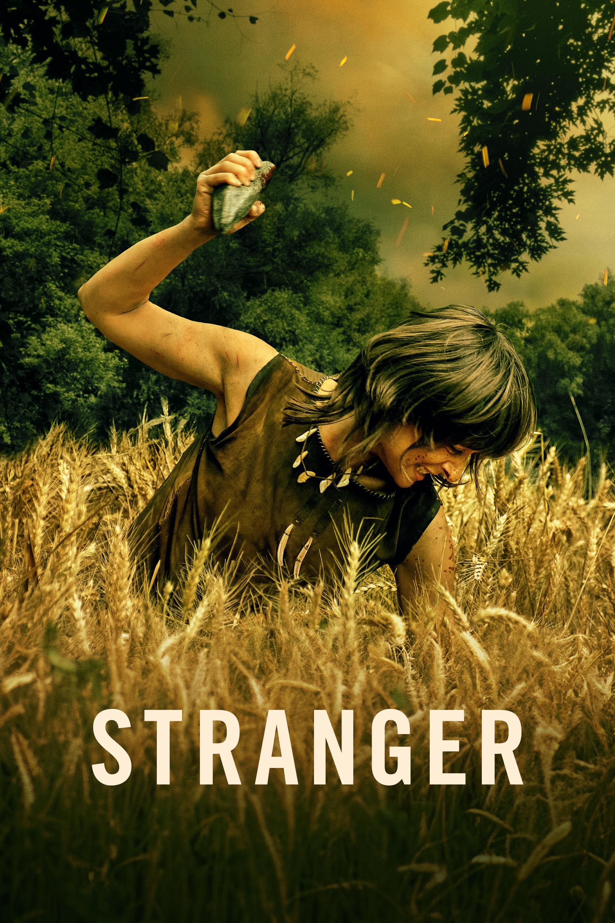 Stranger poster image