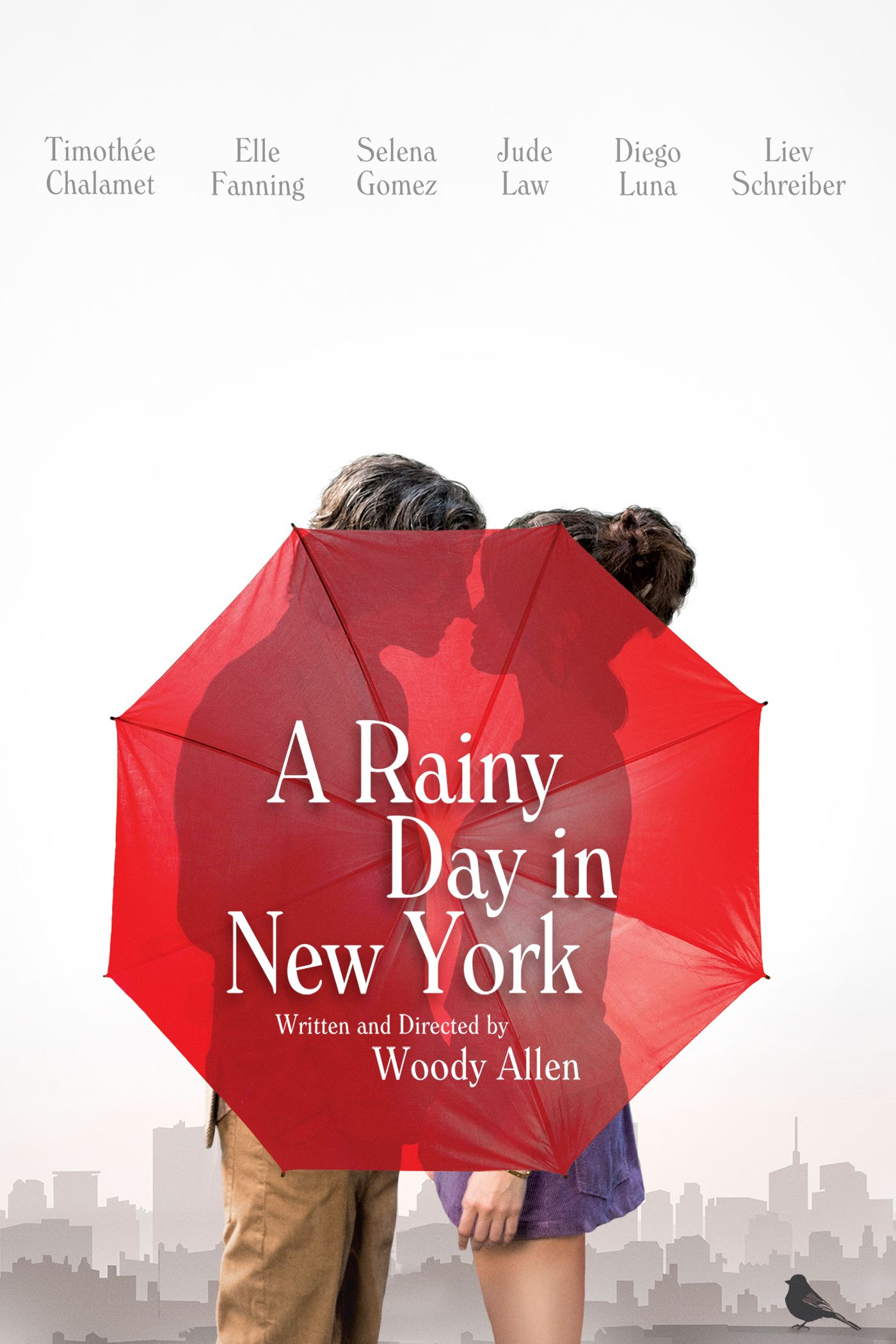 A Rainy Day in New York poster image