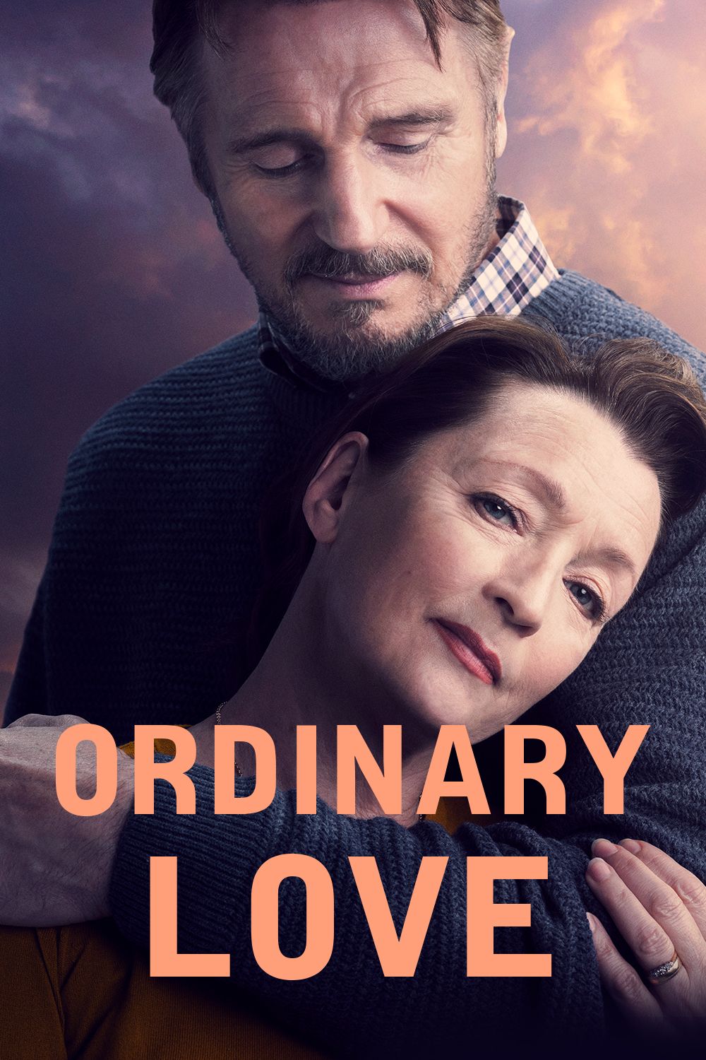 Ordinary Love poster image