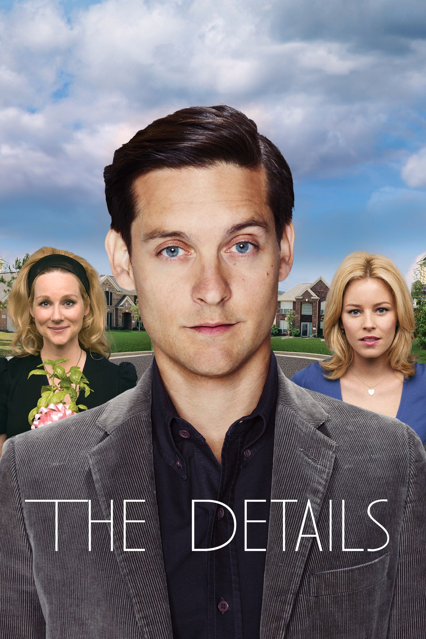 The Details poster image