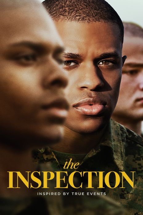 The Inspection poster image