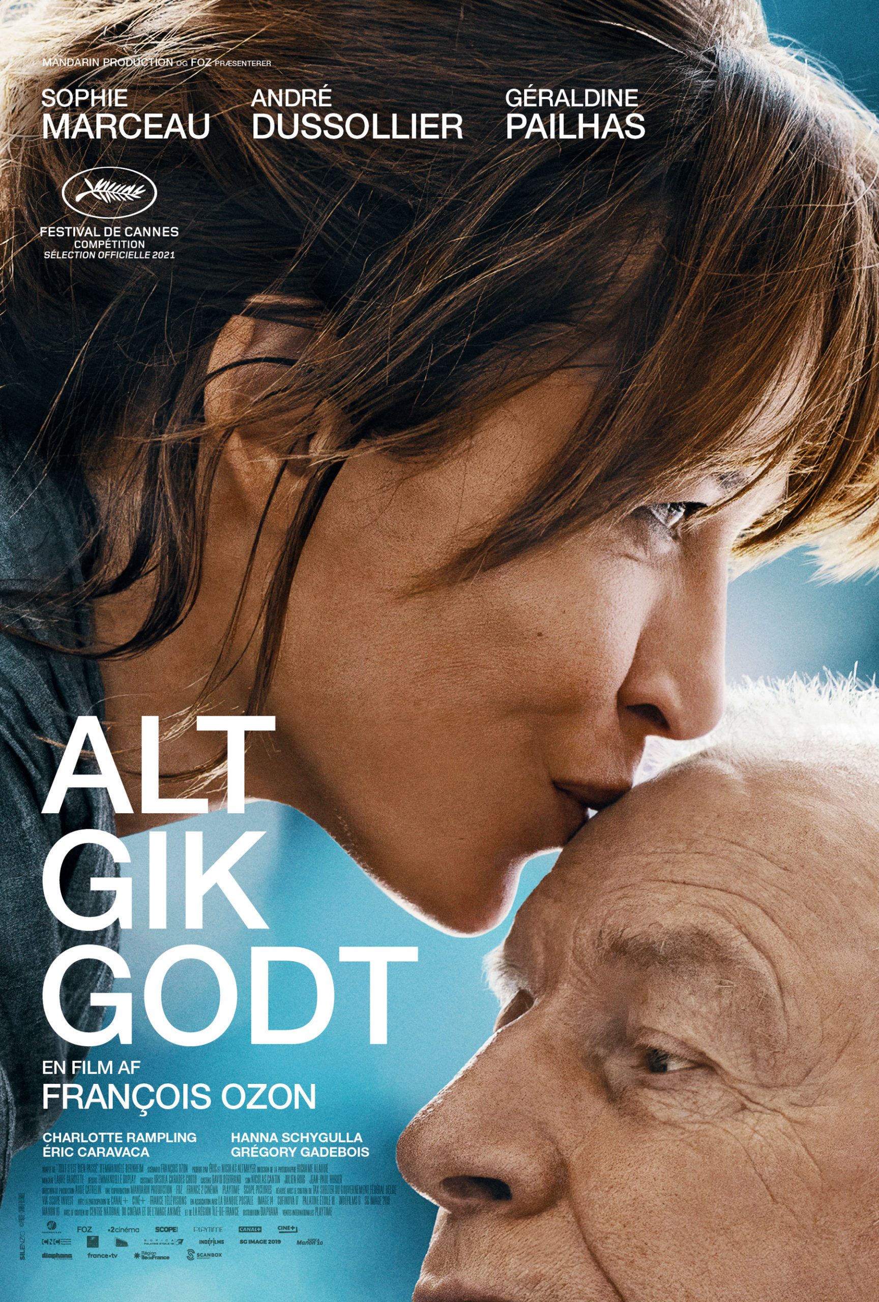 Alt gik godt poster image