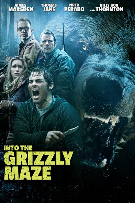 Into the Grizzly Maze poster image