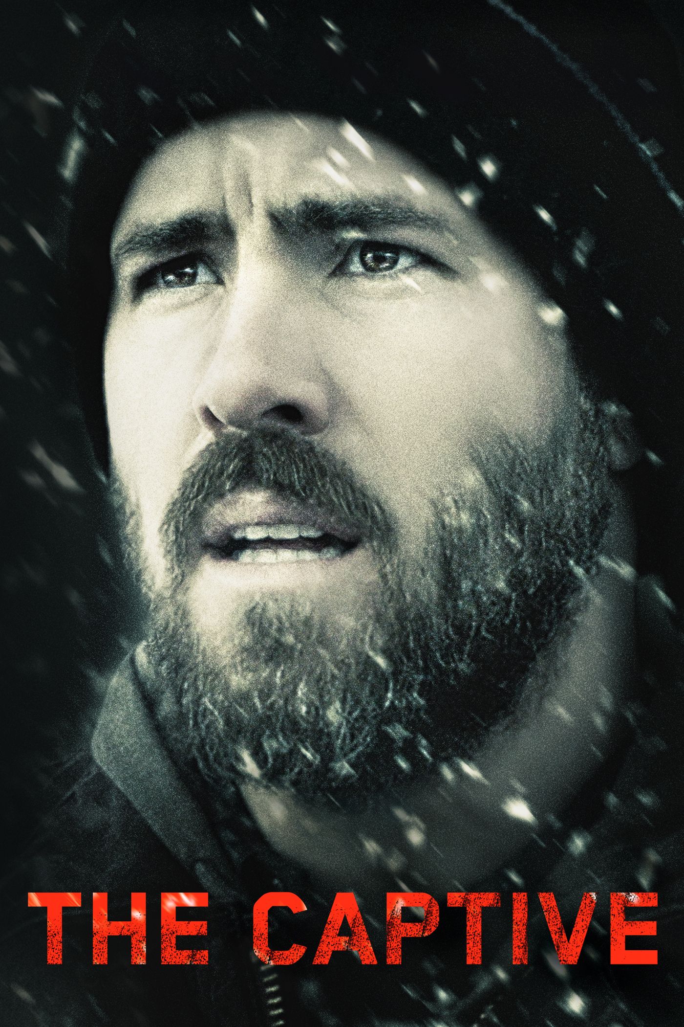 The Captive poster image
