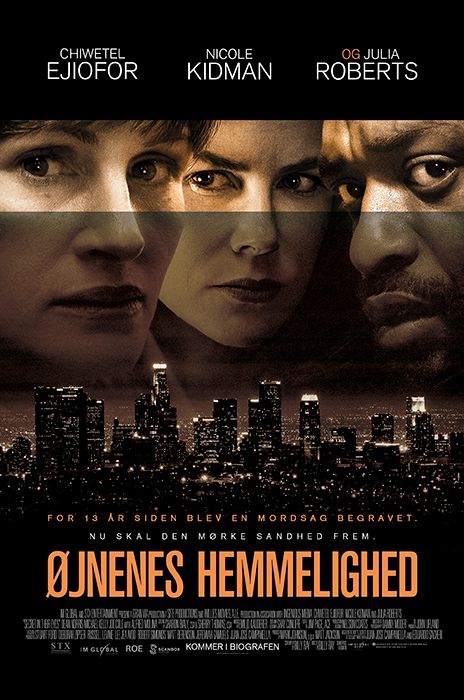 Secret in Their Eyes poster image