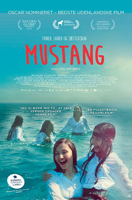 Mustang poster image