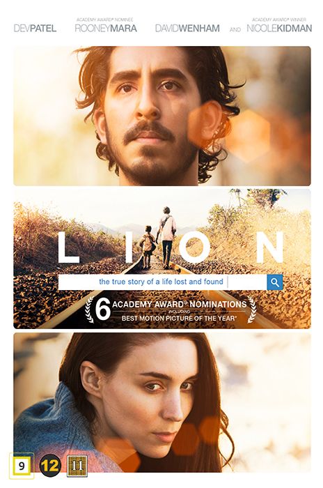 Lion poster image