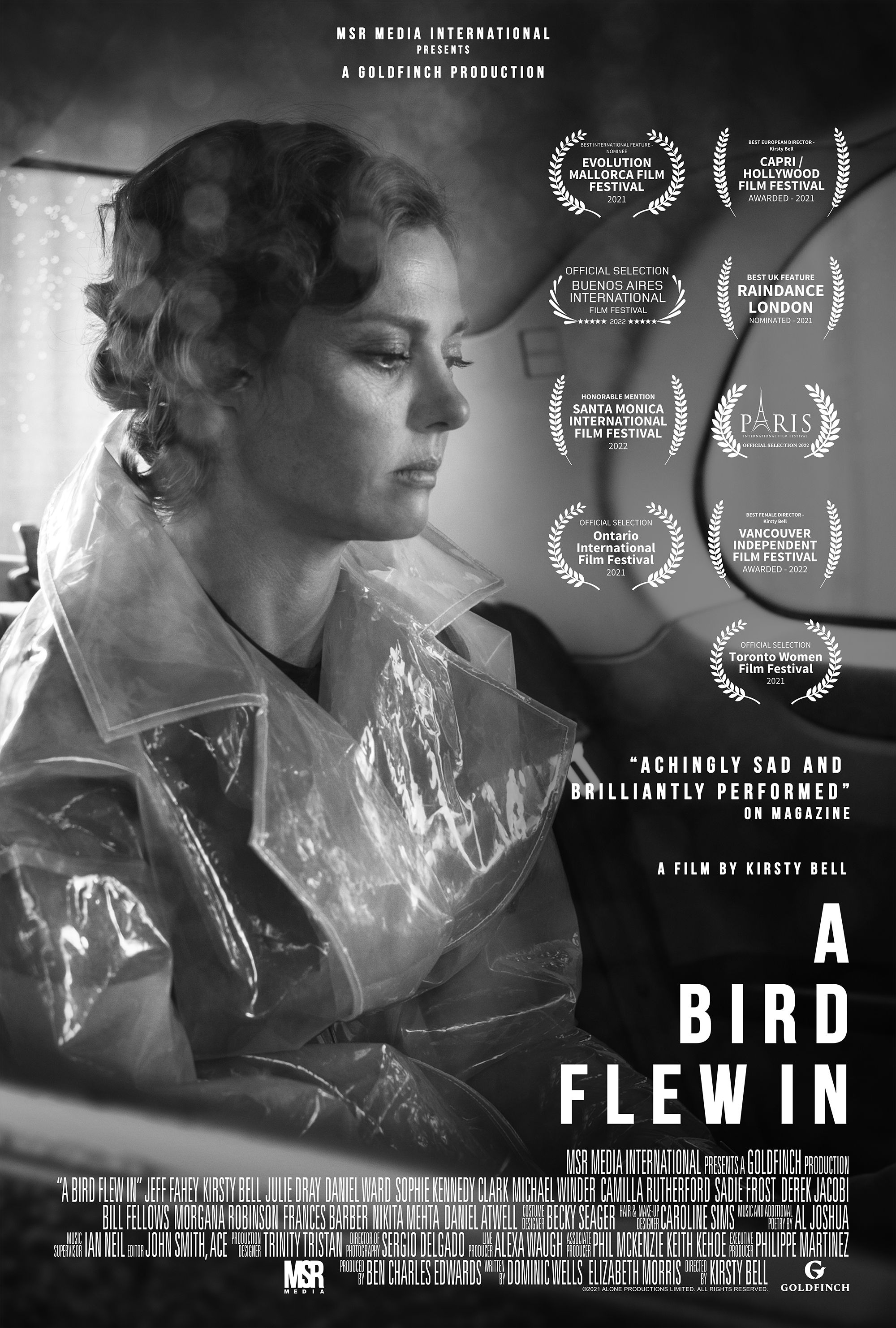 poster for A Bird Flew In