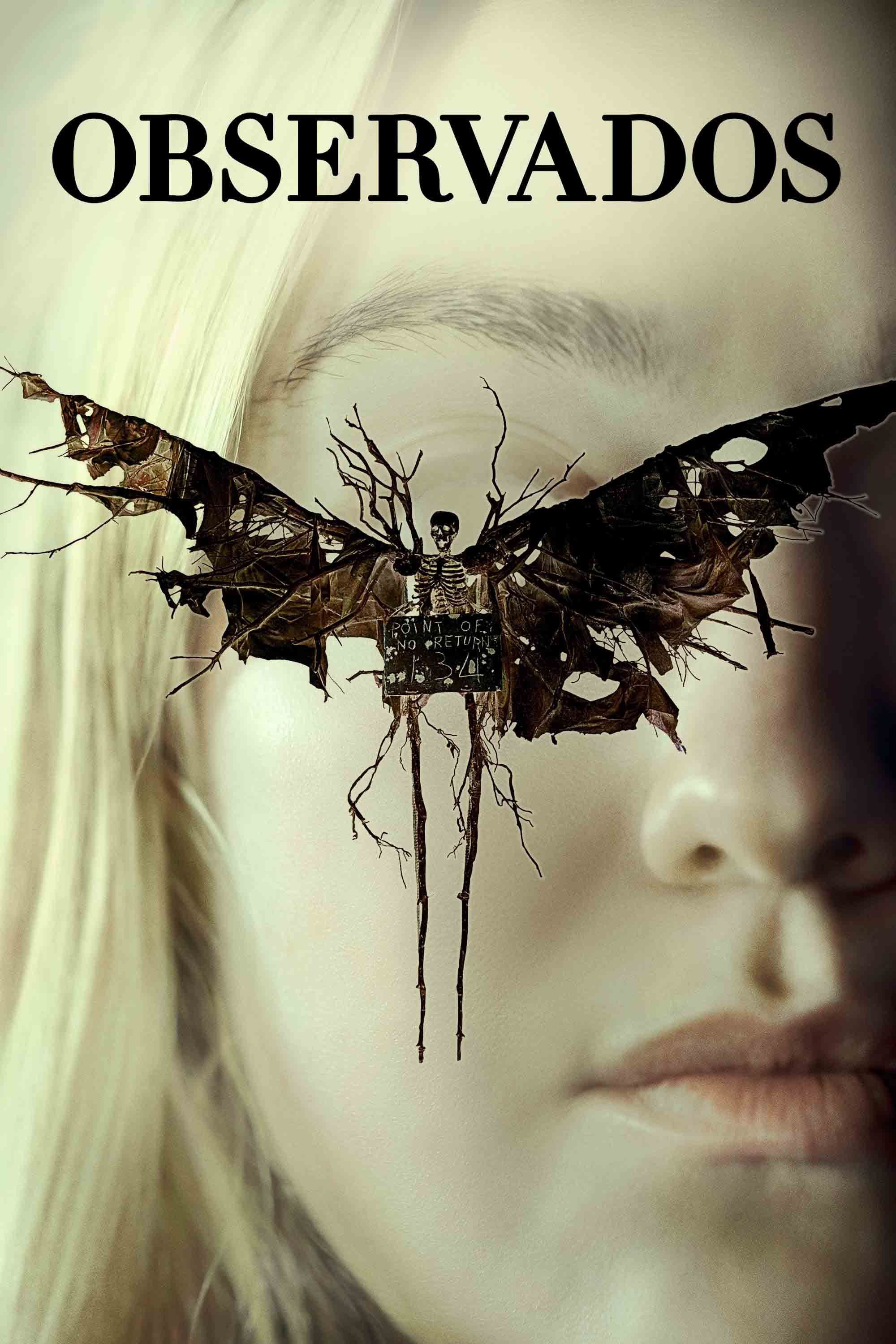 Observados poster image