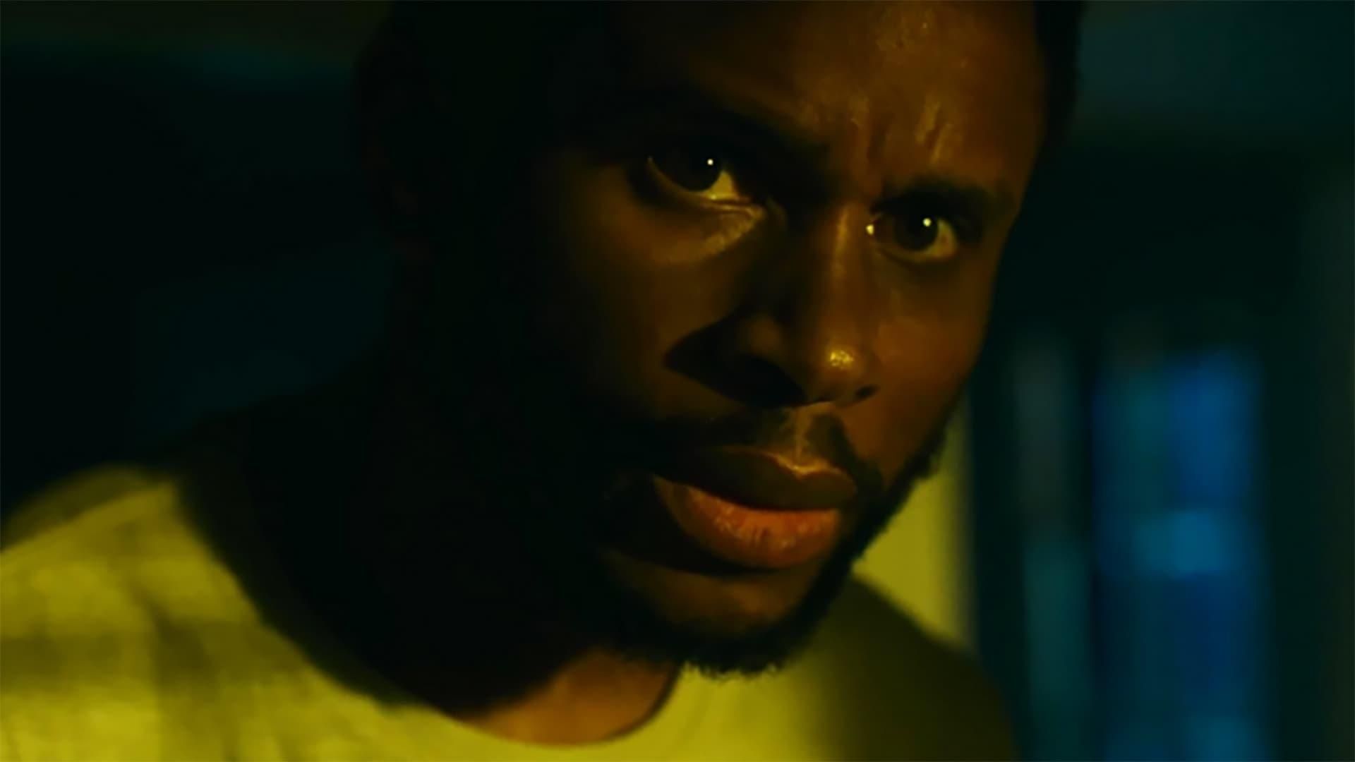 The Knife feature video