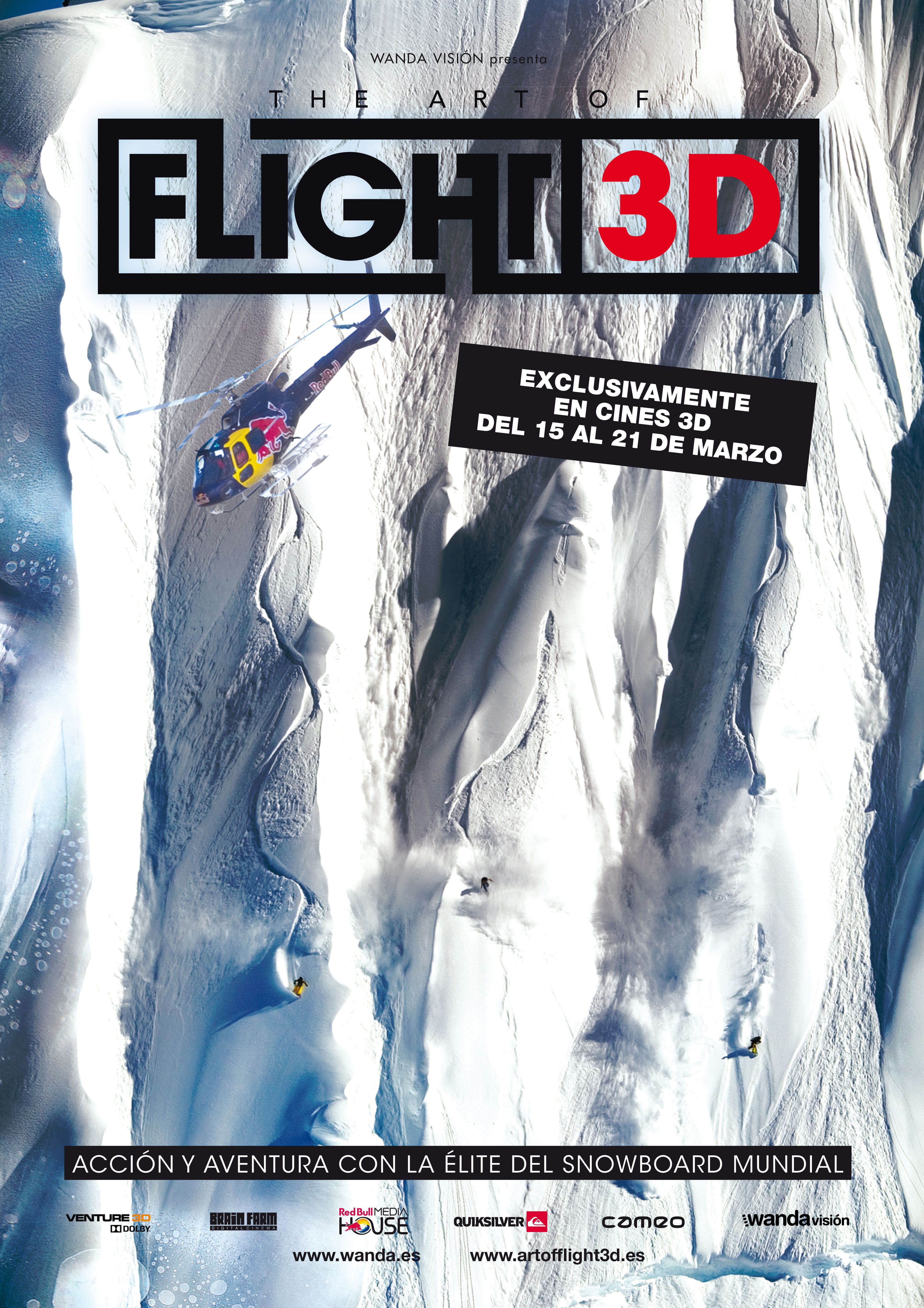 The Art of Flight poster image