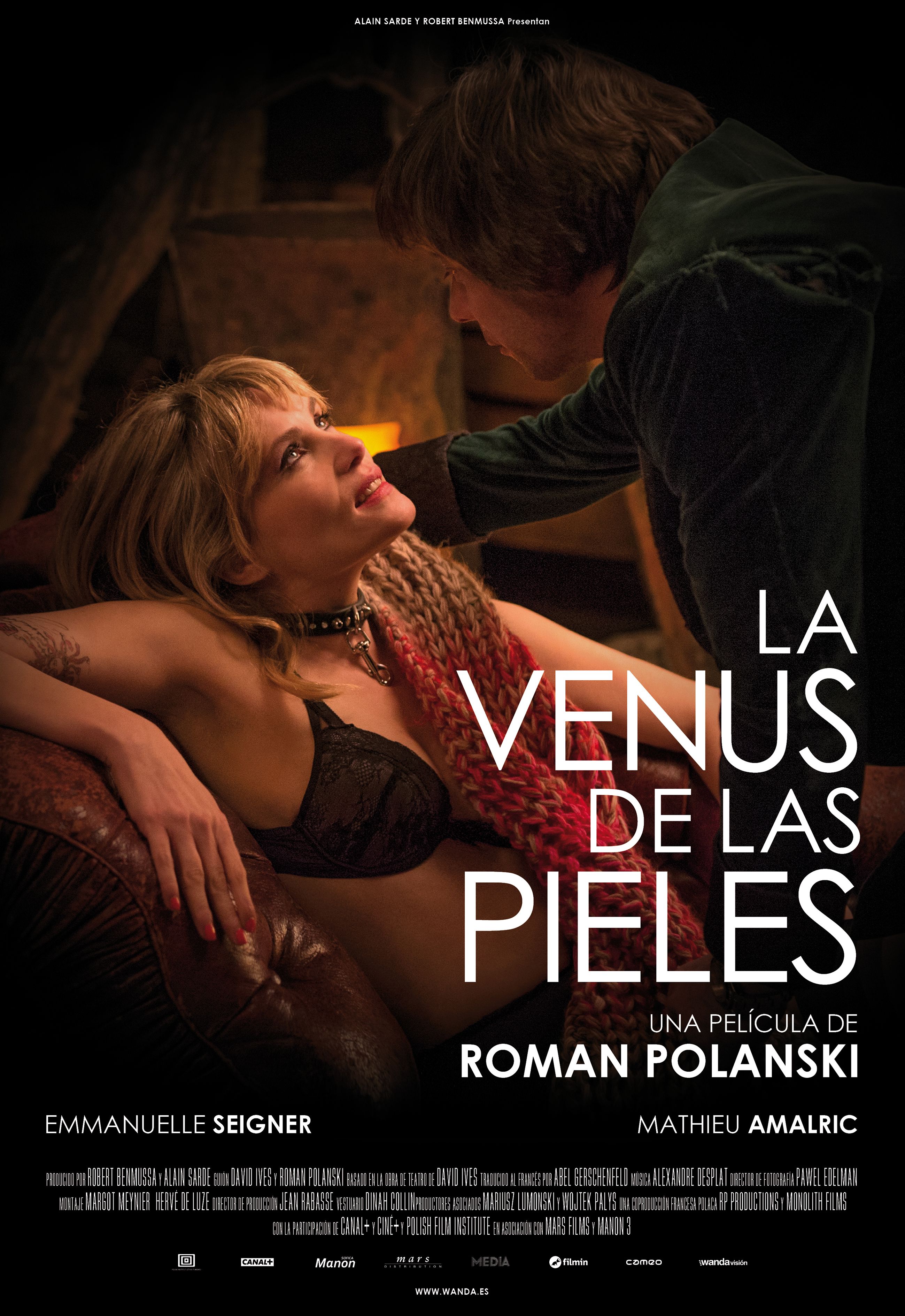 La Venus de las pieles poster image
