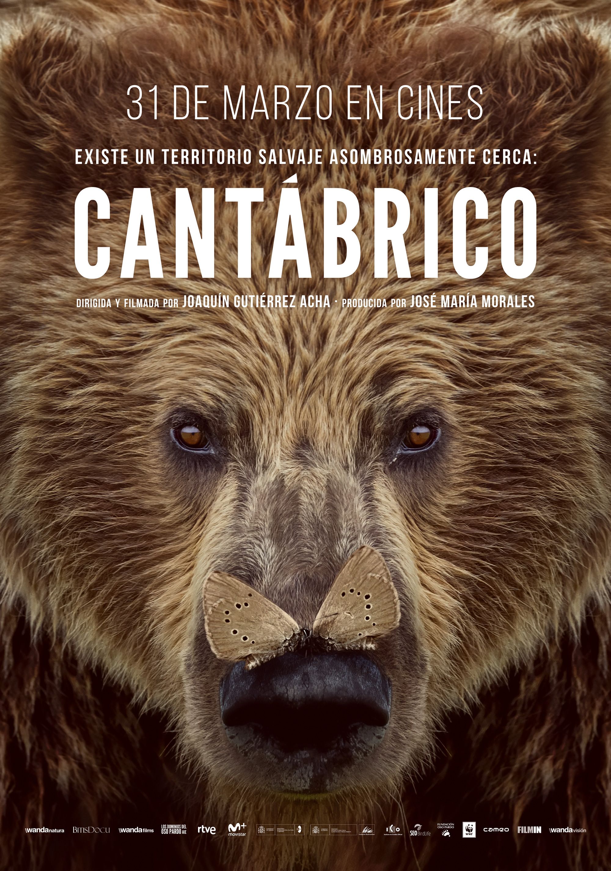 CANTÁBRICO. LOS DOMINIOS DEL OSO PARDO poster image