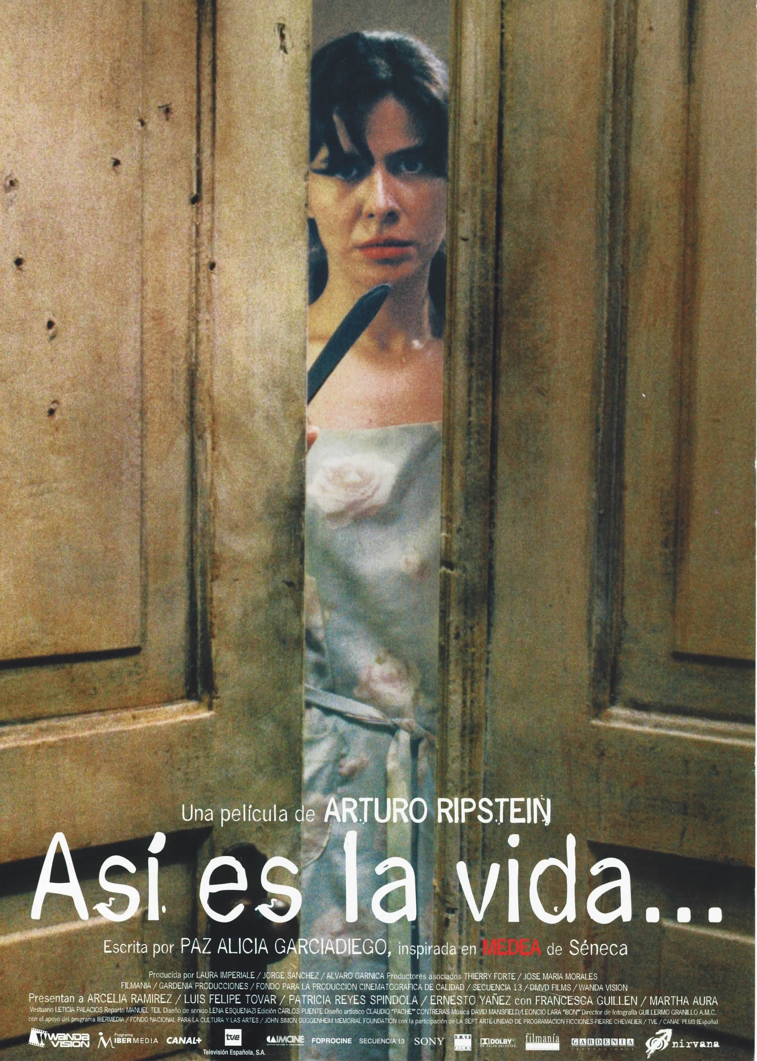 Así es la vida poster image