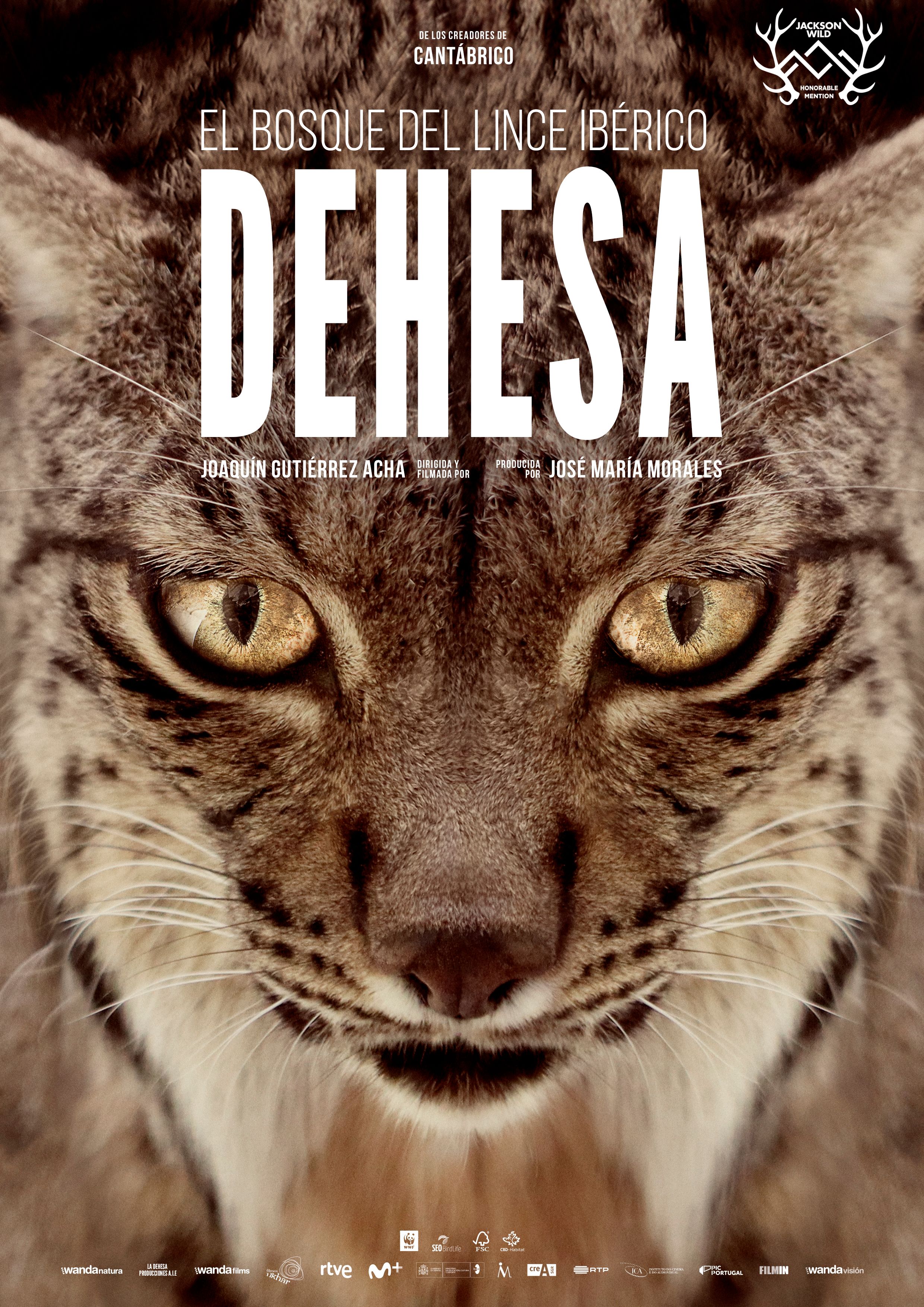 Dehesa, el bosque del lince ibérico poster image